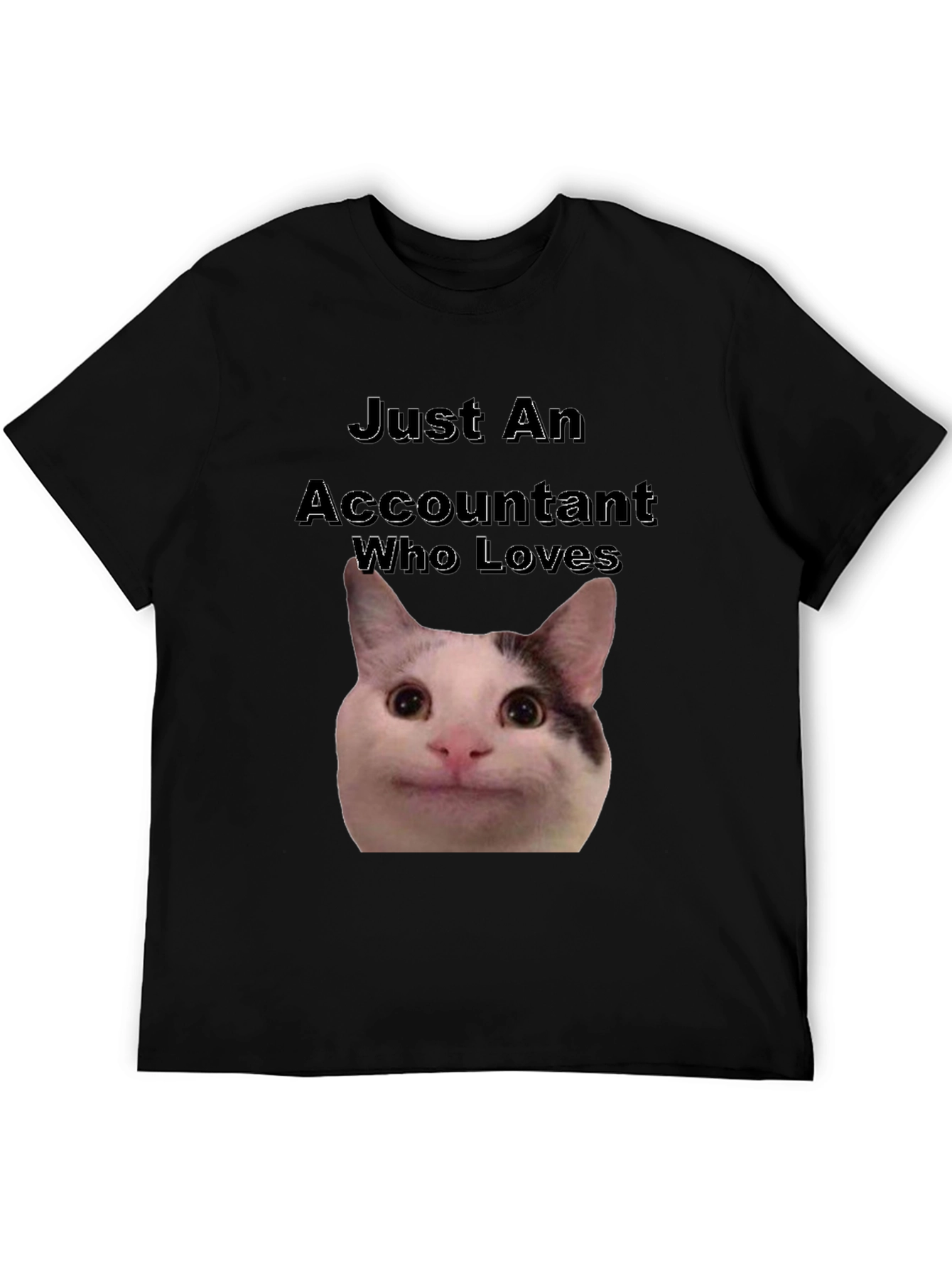Accountant Cat T-Shirt - Funny Cat Lover Tee
