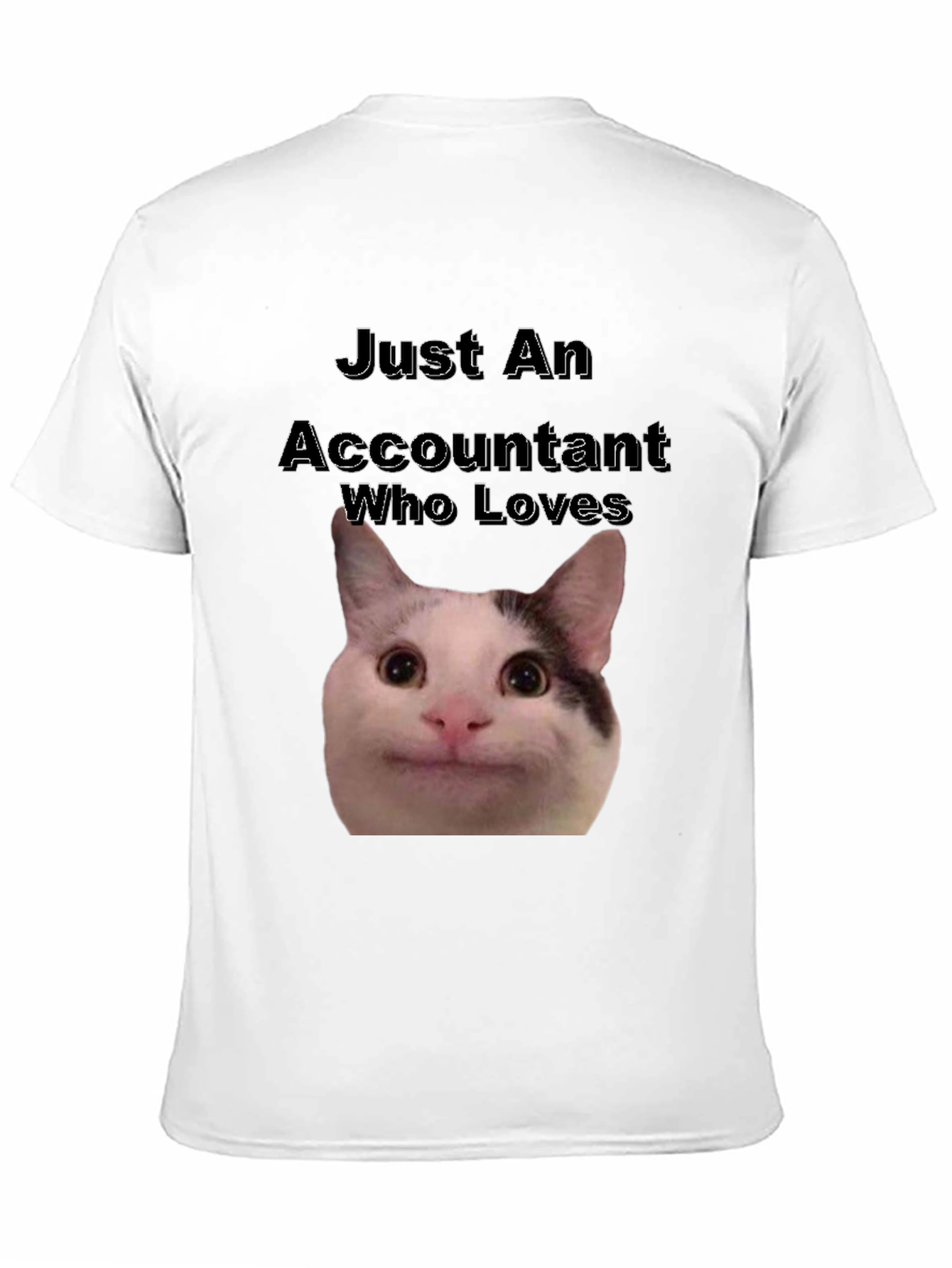 Accountant Cat T-Shirt - Funny Cat Lover Tee