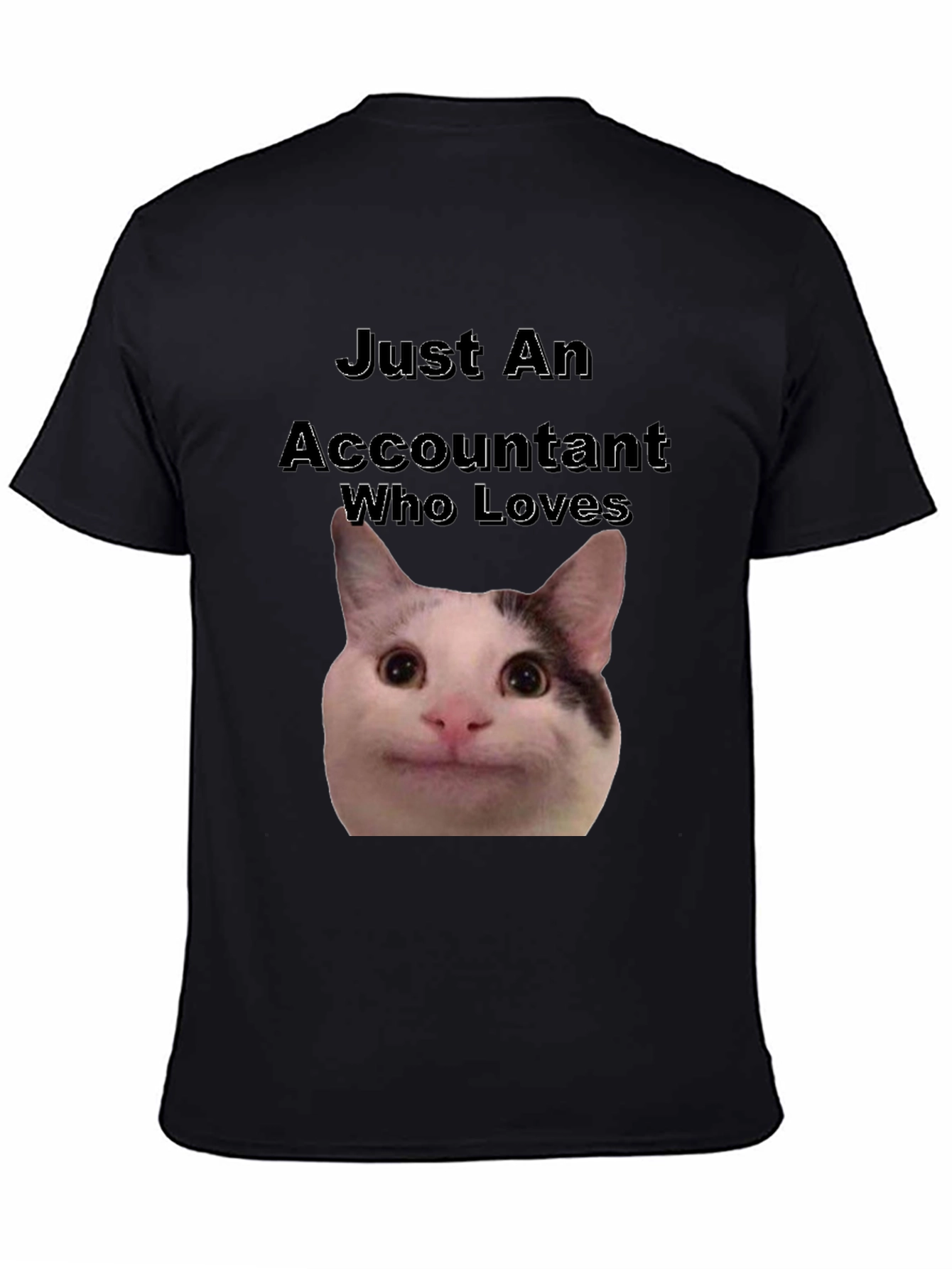 Accountant Cat T-Shirt - Funny Cat Lover Tee