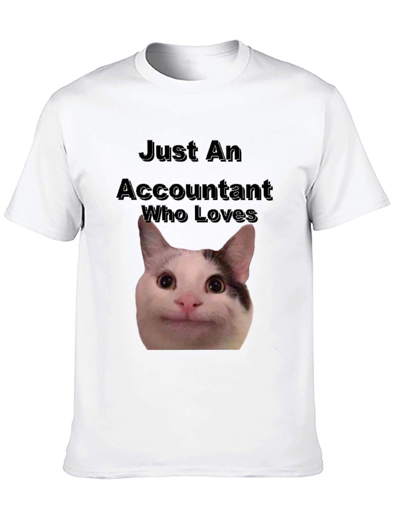 Accountant Cat T-Shirt - Funny Cat Lover Tee