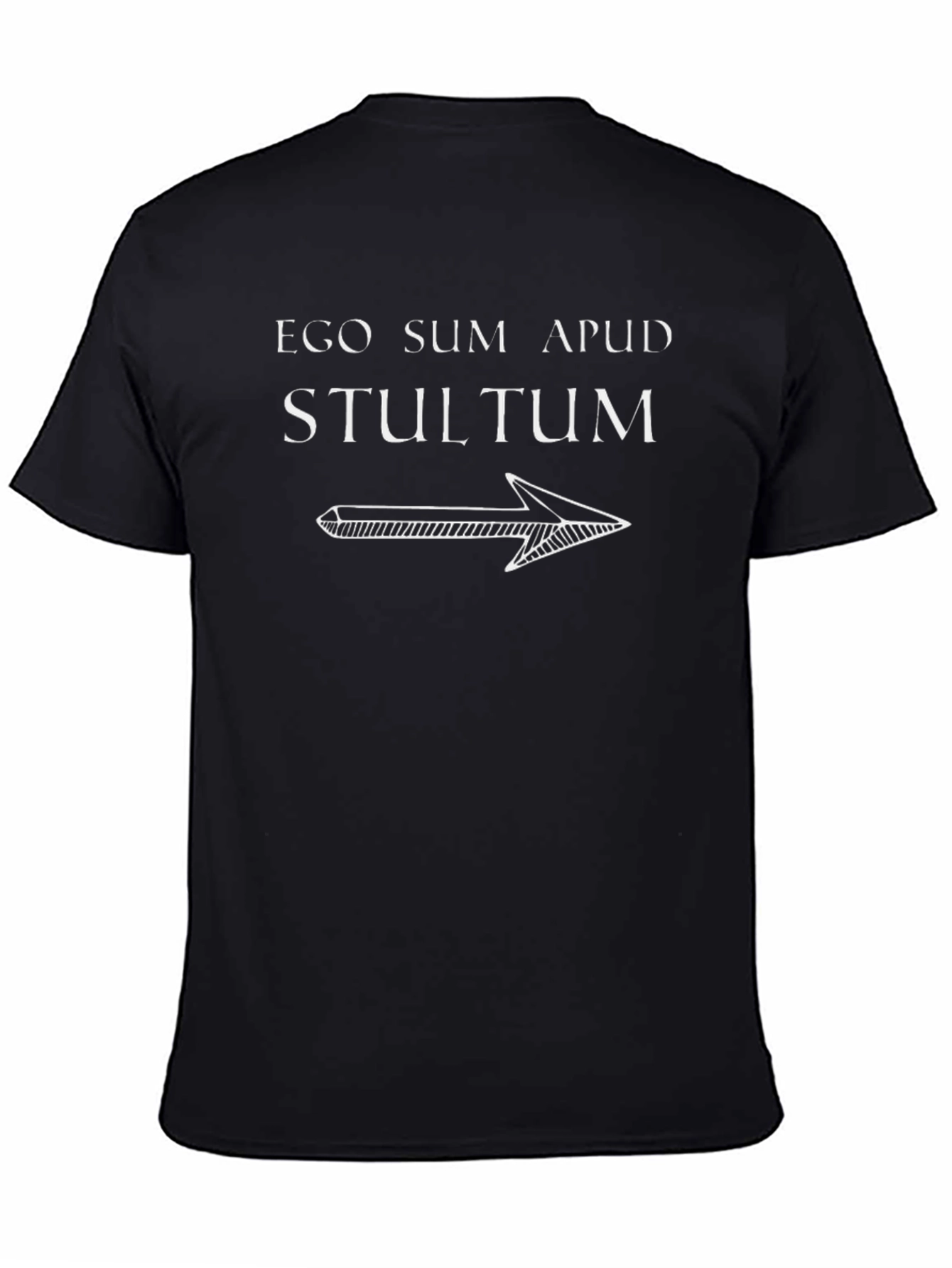Ego Sum Apud Stultum T-Shirt - Funny Latin Phrase