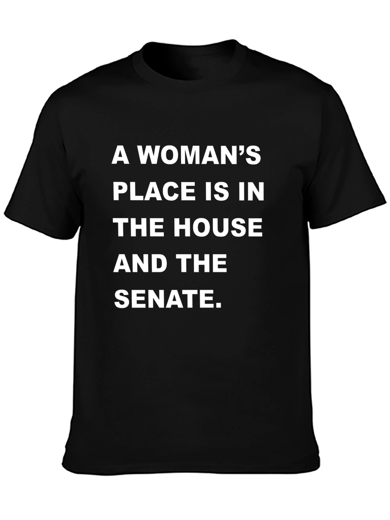 Feminist Slogan Tee - House & Senate Womens Rights