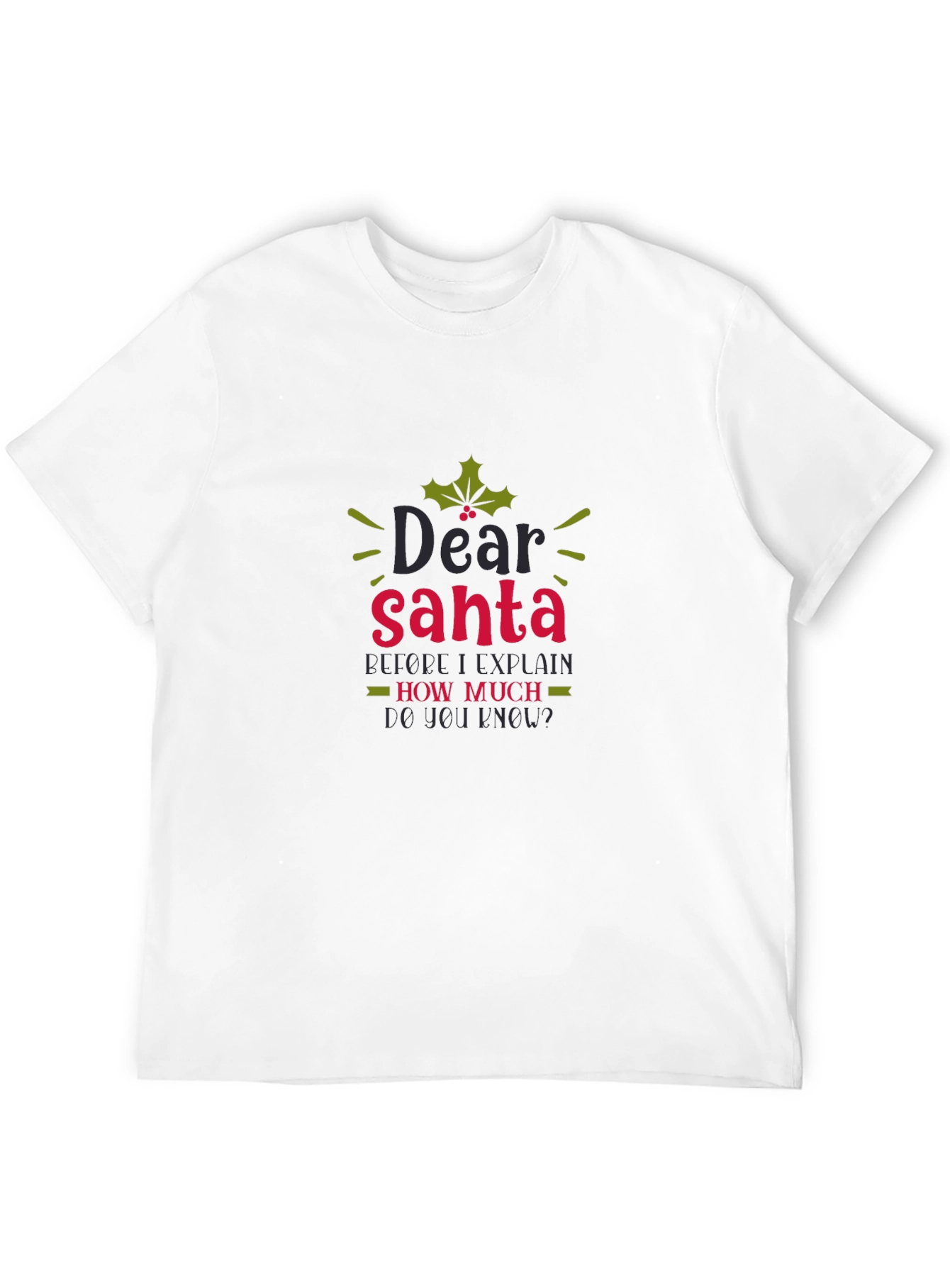 Dear Santa Funny Holiday Tee