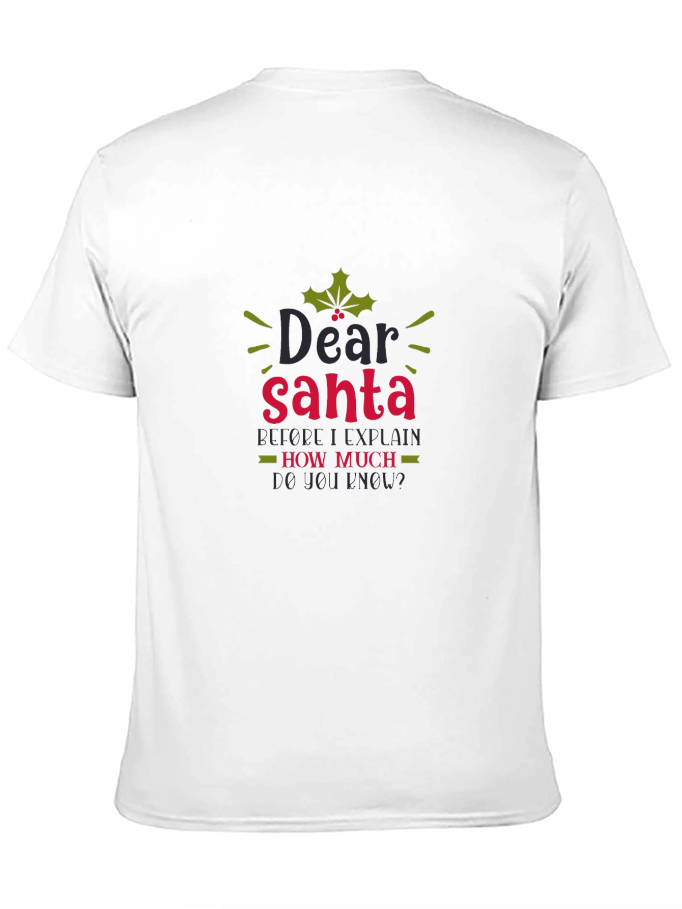 Dear Santa Funny Holiday Tee