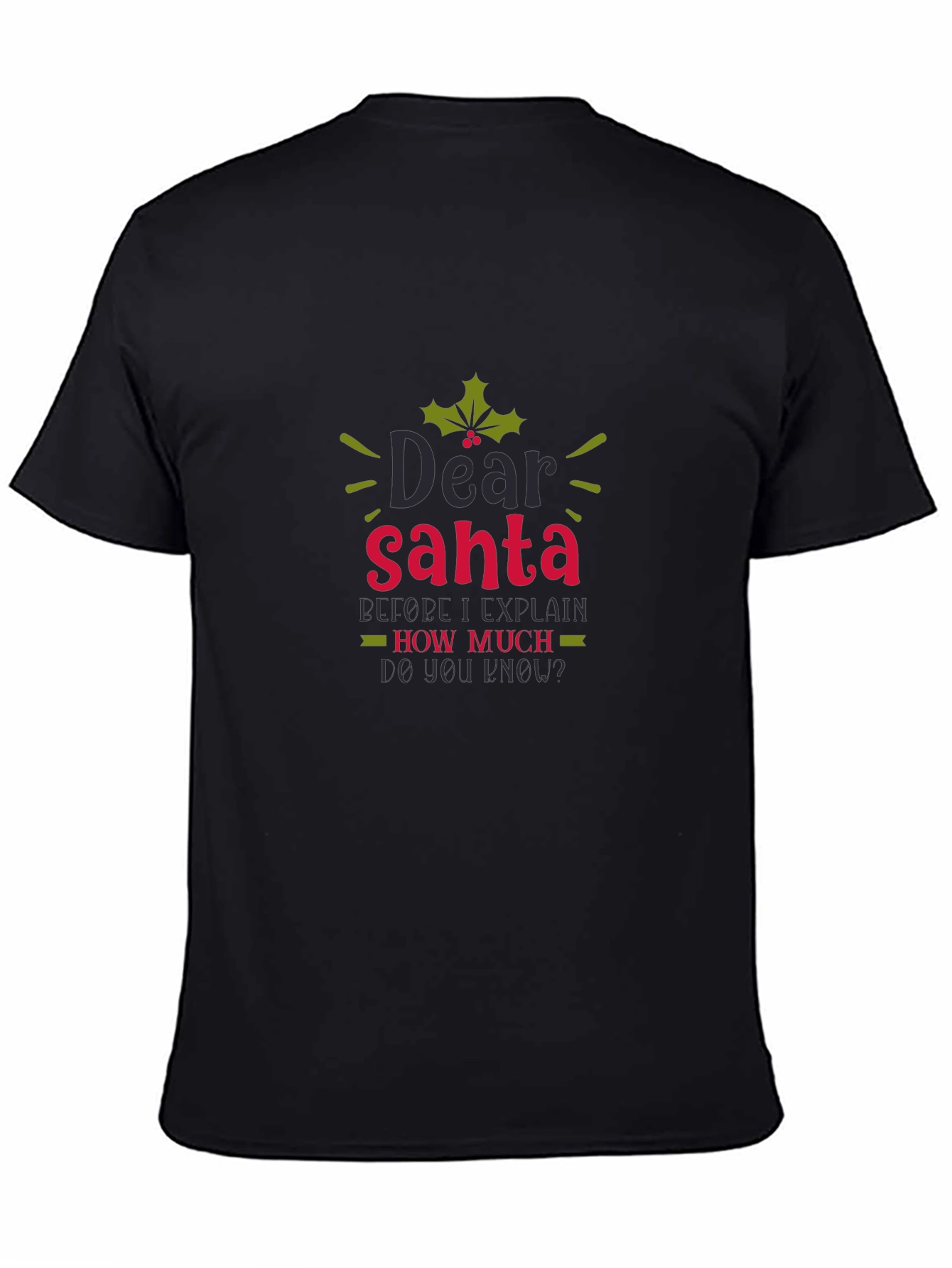 Dear Santa Funny Holiday Tee