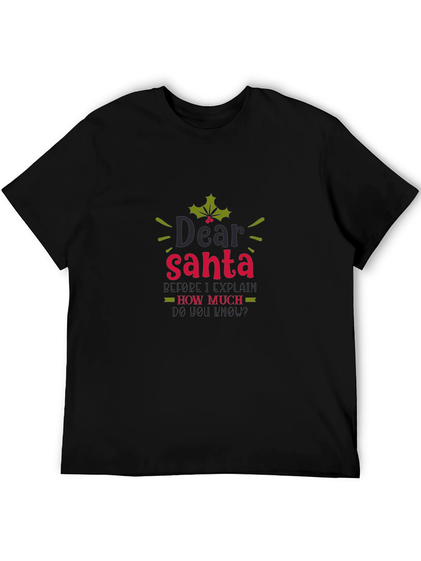 Dear Santa Funny Holiday Tee