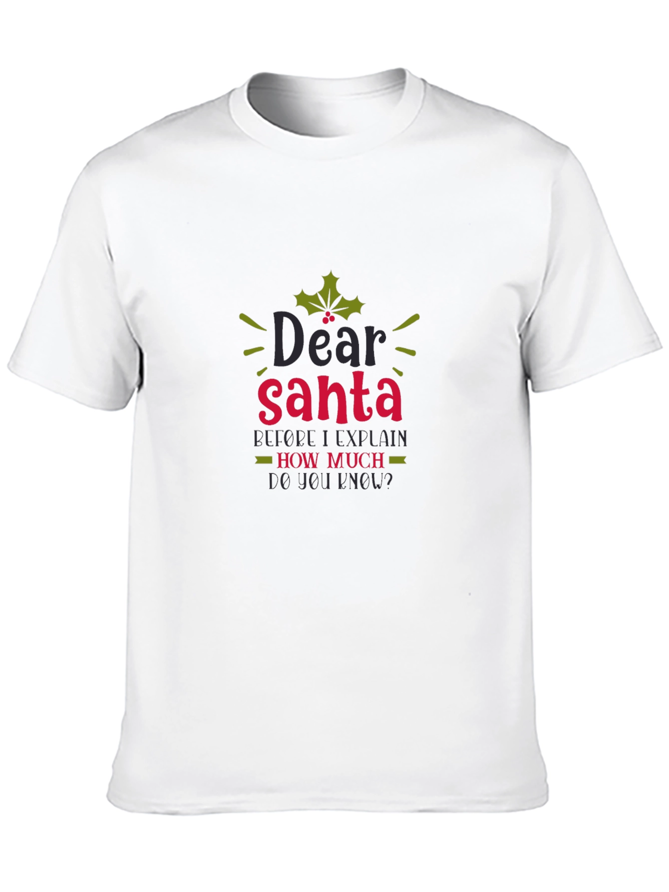 Dear Santa Funny Holiday Tee