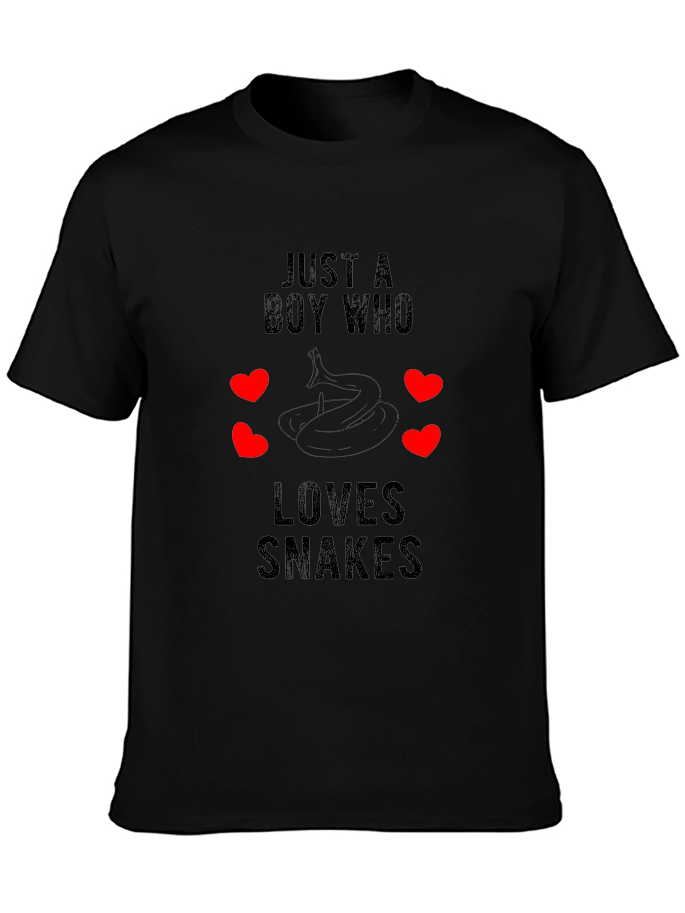 Boy Who Loves Snakes T-Shirt