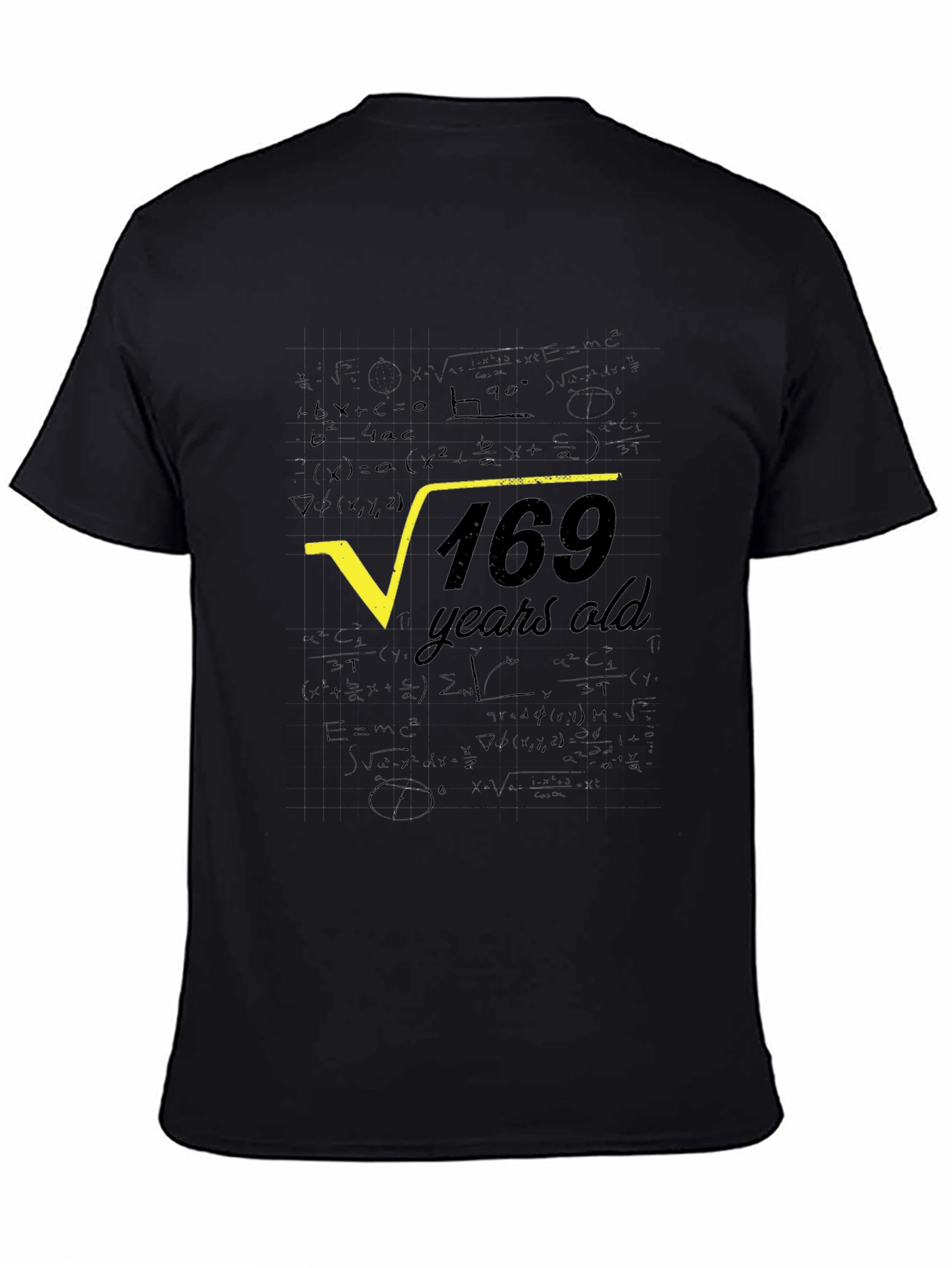 Square Root of 169 Years Old T-Shirt