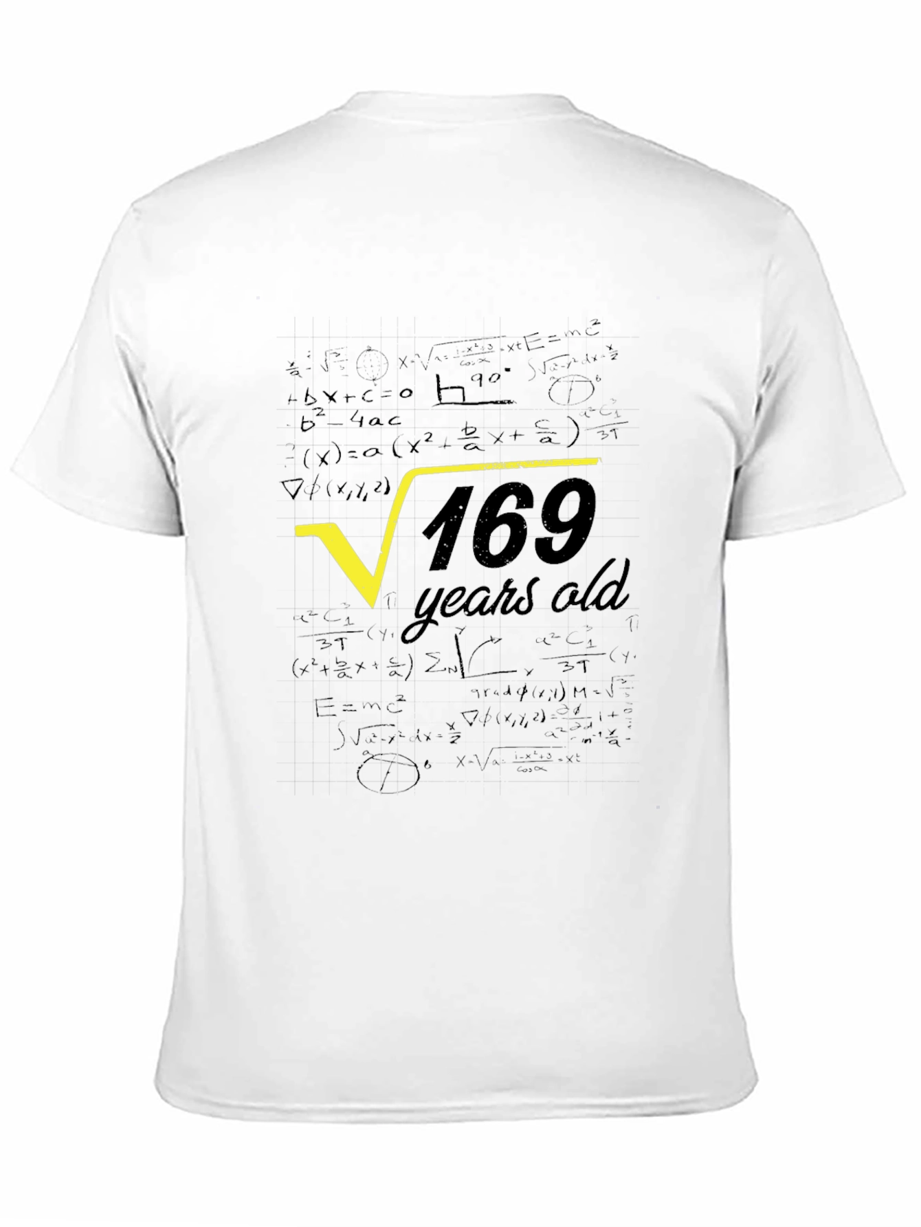 Square Root of 169 Years Old T-Shirt