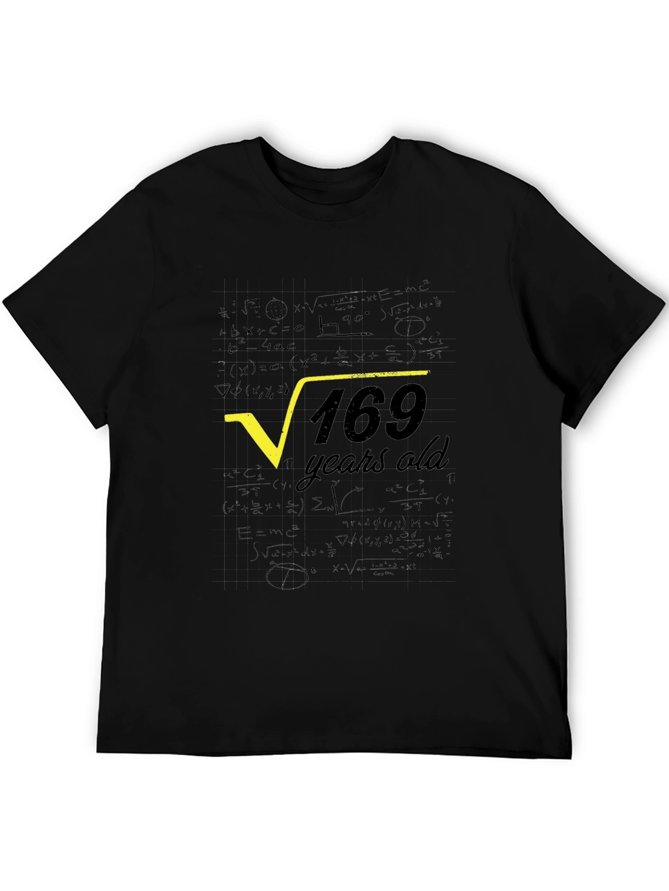 Square Root of 169 Years Old T-Shirt