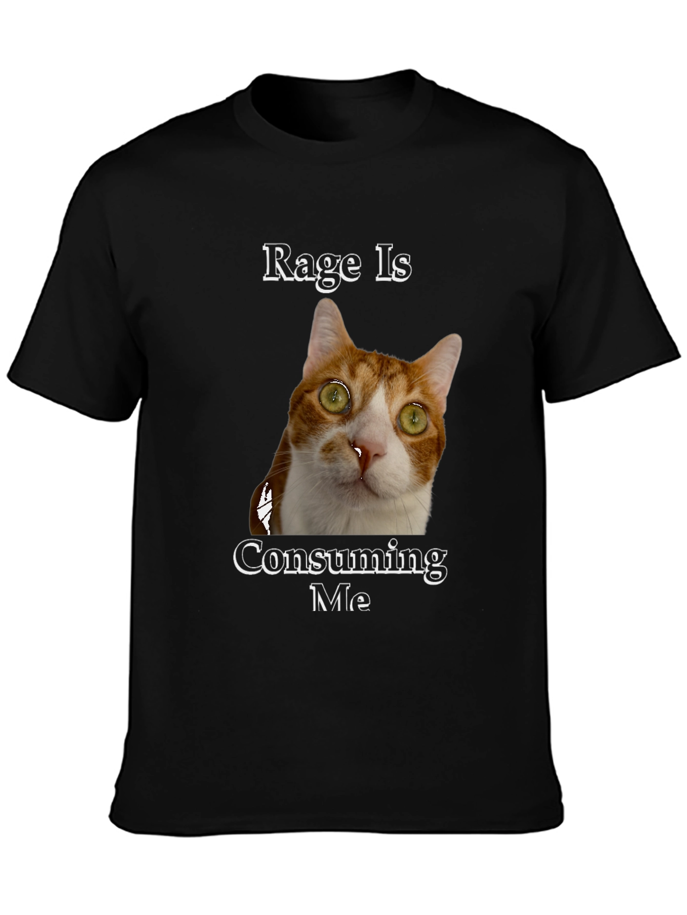 Rage Is Consuming Me Cat T-Shirt