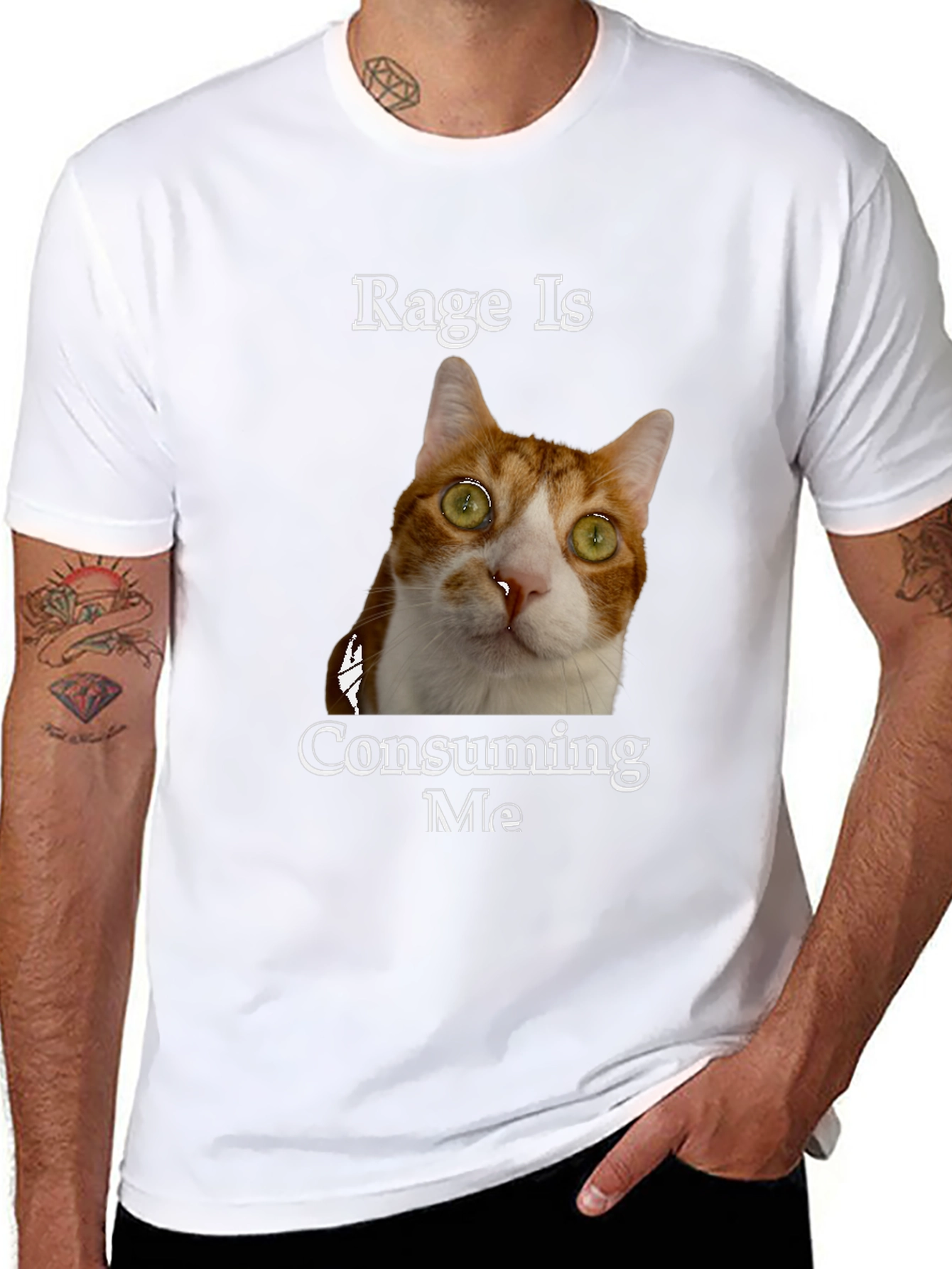 Rage Is Consuming Me Cat T-Shirt