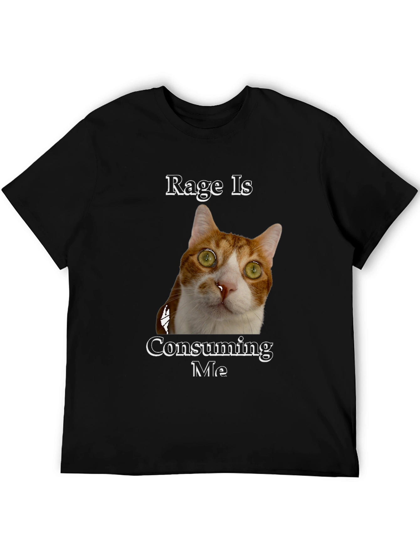 Rage Is Consuming Me Cat T-Shirt