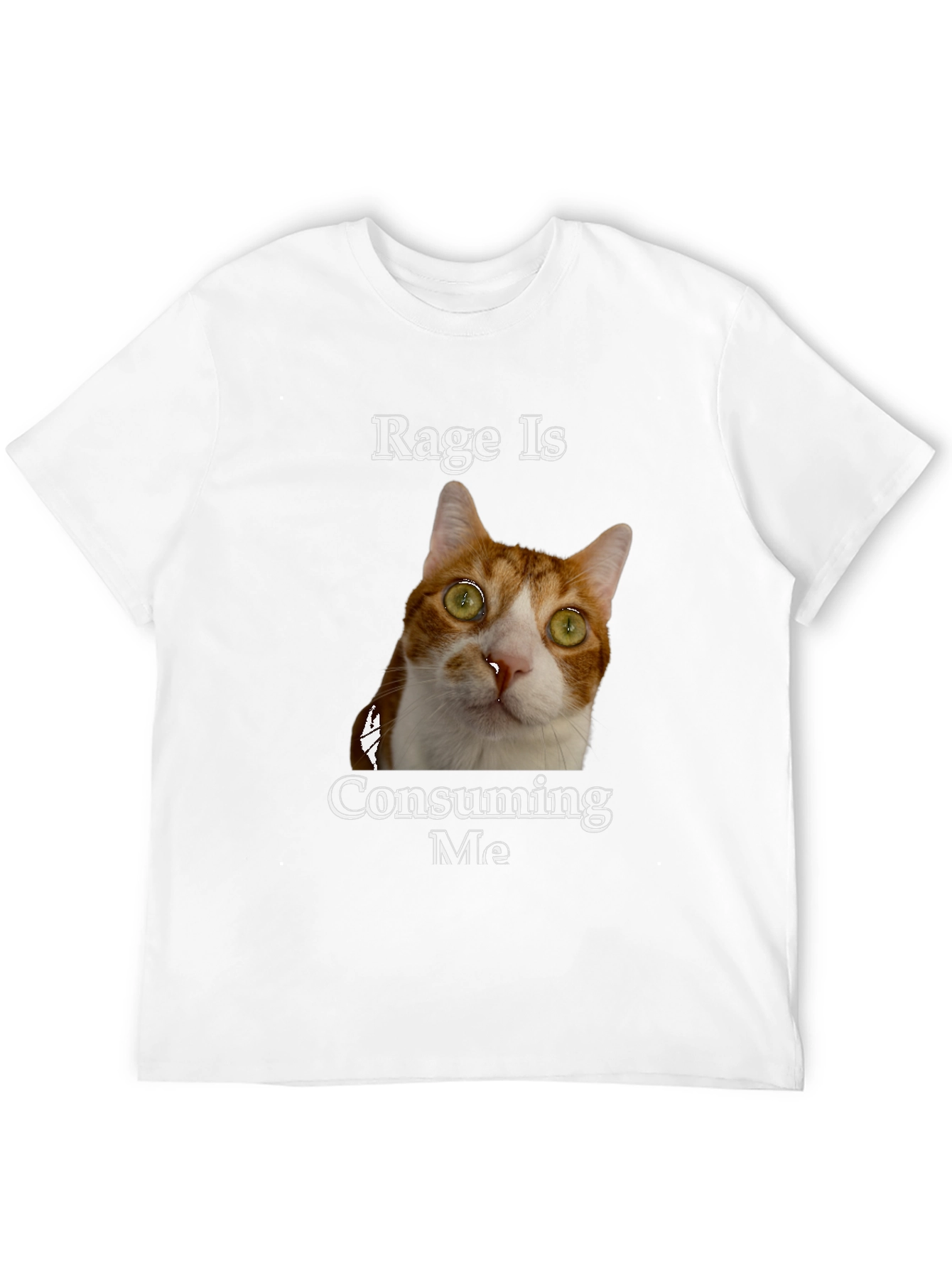 Rage Is Consuming Me Cat T-Shirt