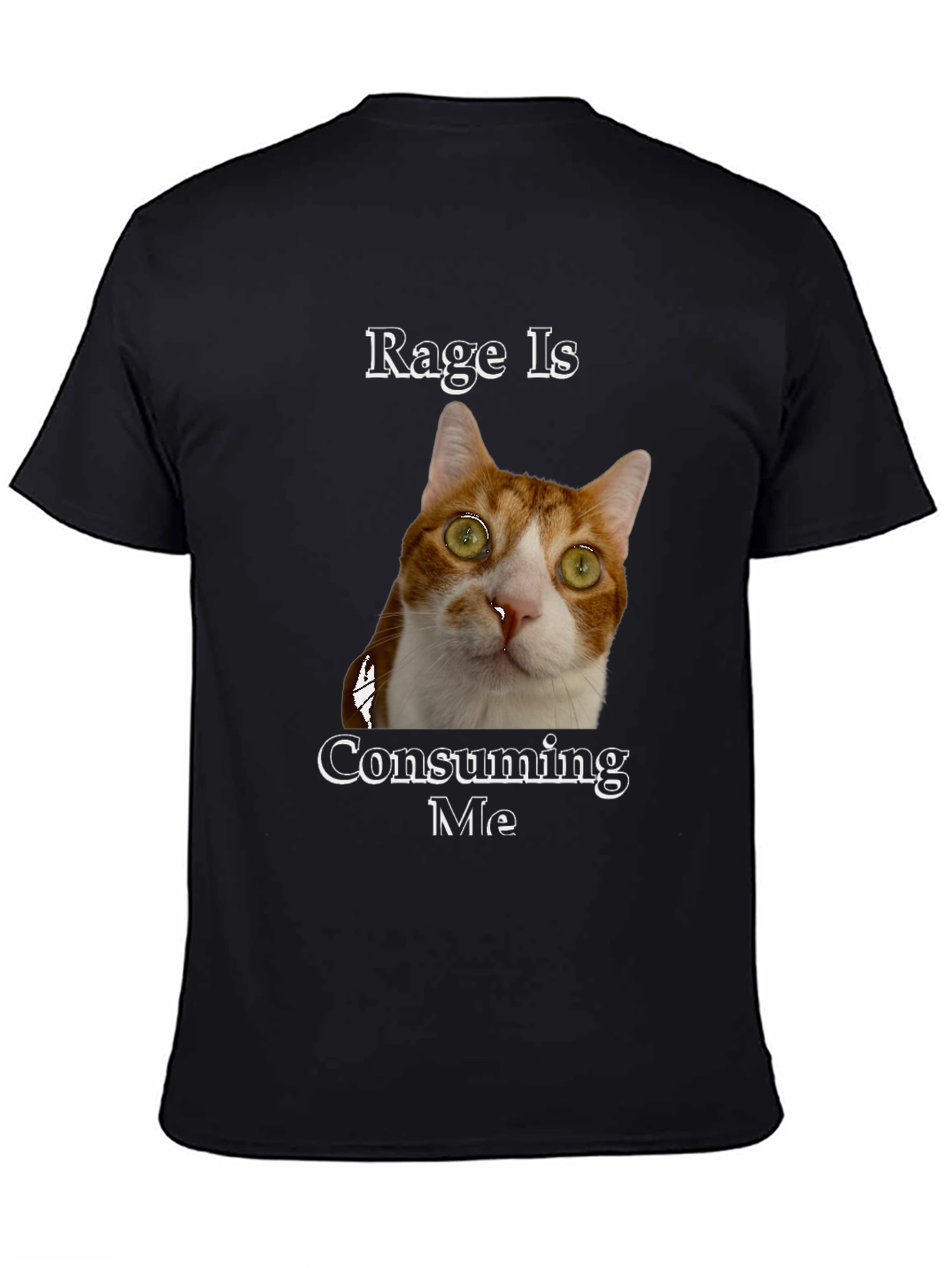 Rage Is Consuming Me Cat T-Shirt