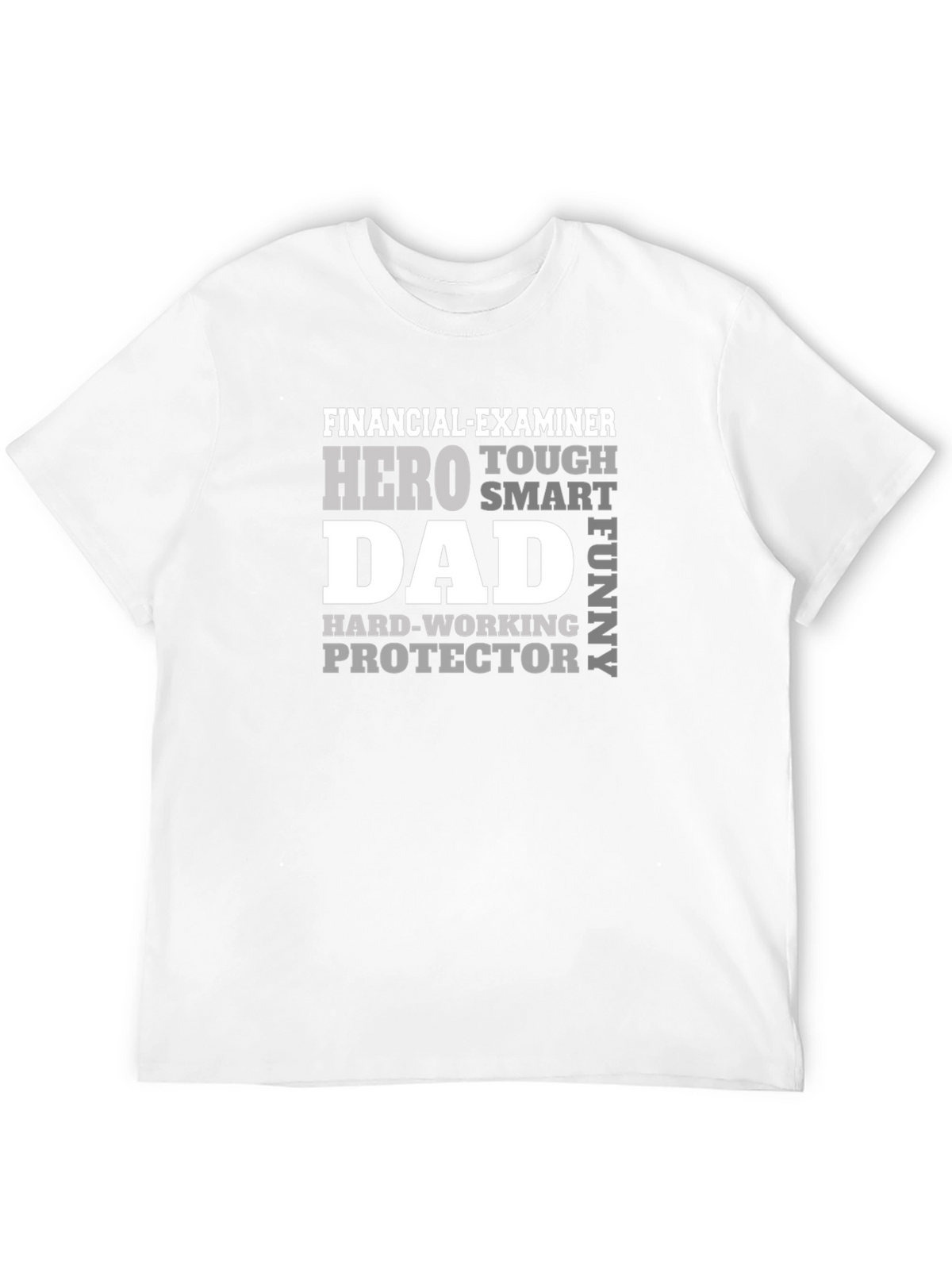 Financial Examiner Dad T-Shirt - Hero Smart Funny