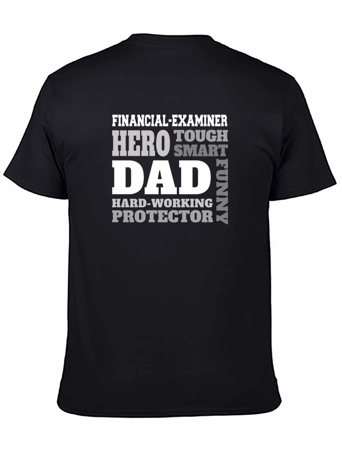 Financial Examiner Dad T-Shirt - Hero Smart Funny