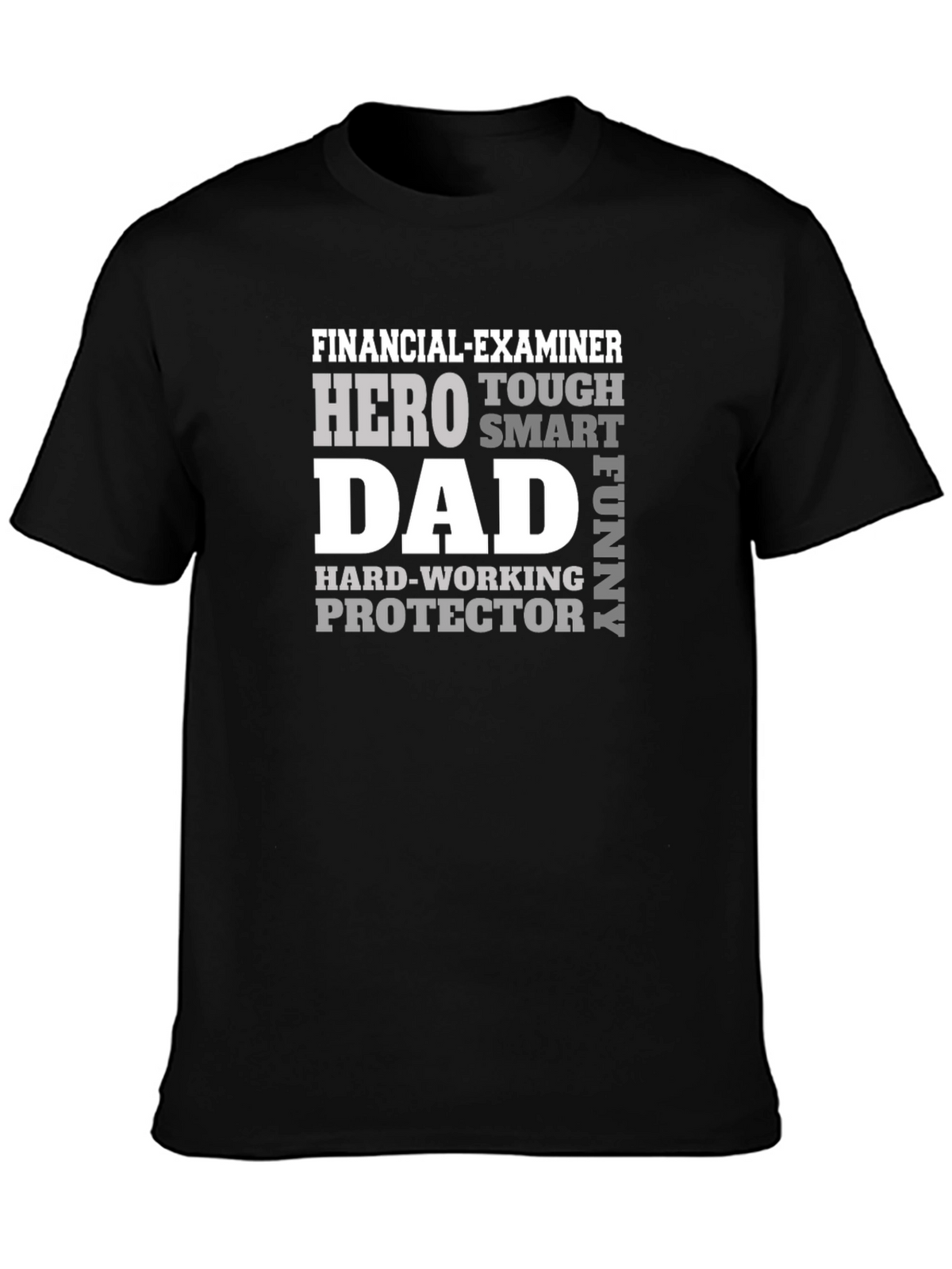 Financial Examiner Dad T-Shirt - Hero Smart Funny