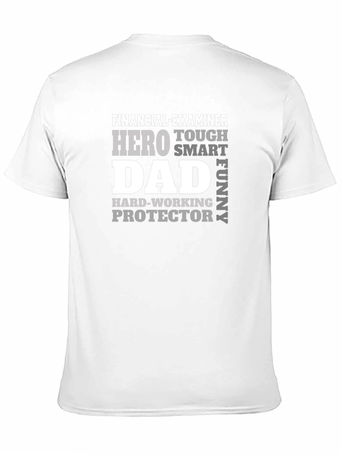 Financial Examiner Dad T-Shirt - Hero Smart Funny
