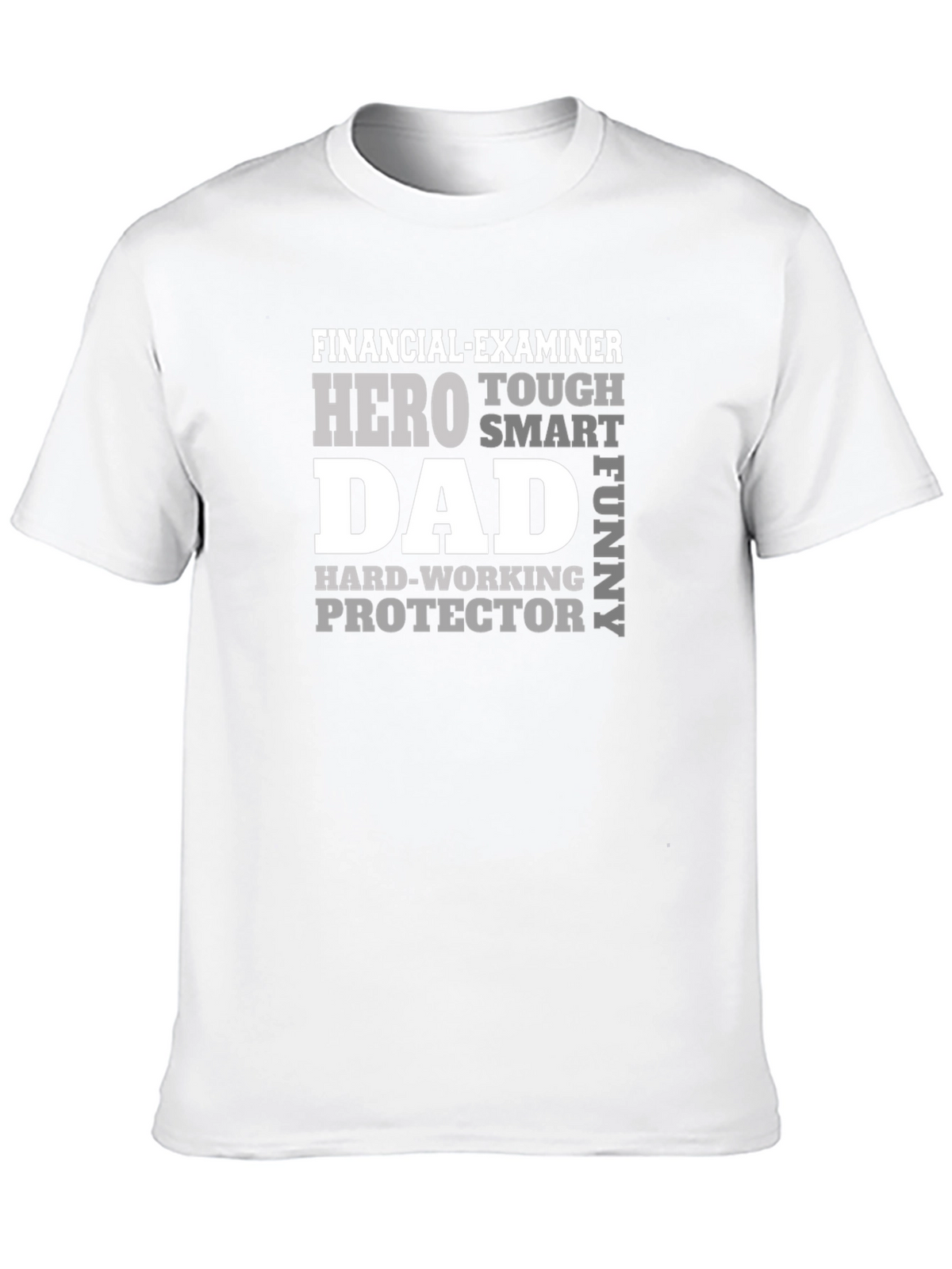 Financial Examiner Dad T-Shirt - Hero Smart Funny