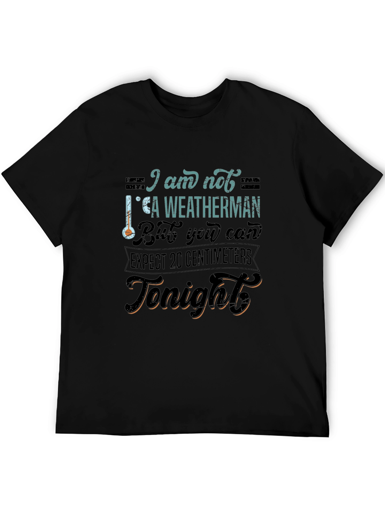 Funny Weatherman Graphic Tee - Expect 20 Centimeters