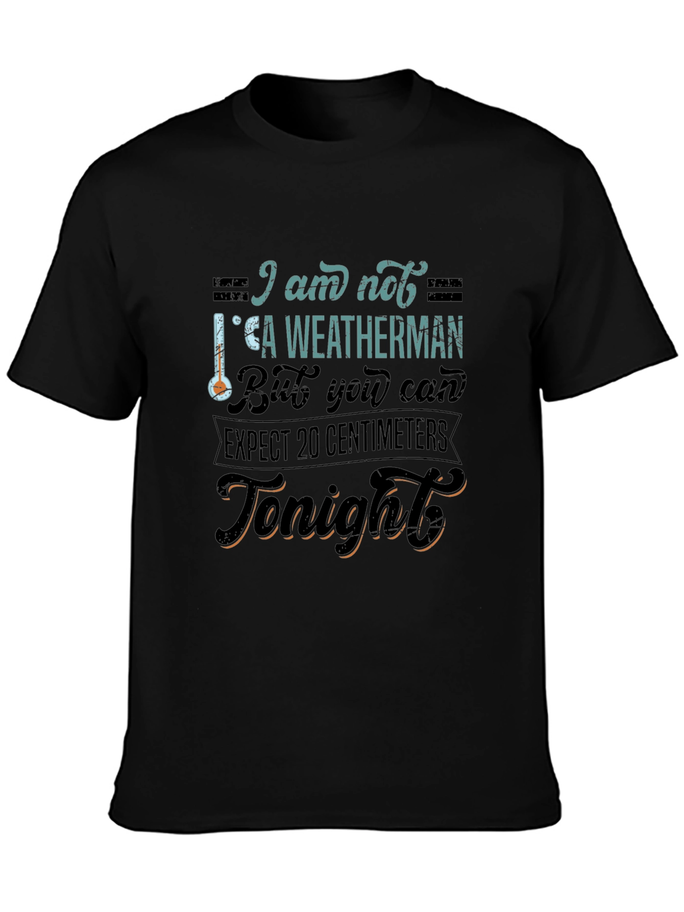 Funny Weatherman Graphic Tee - Expect 20 Centimeters