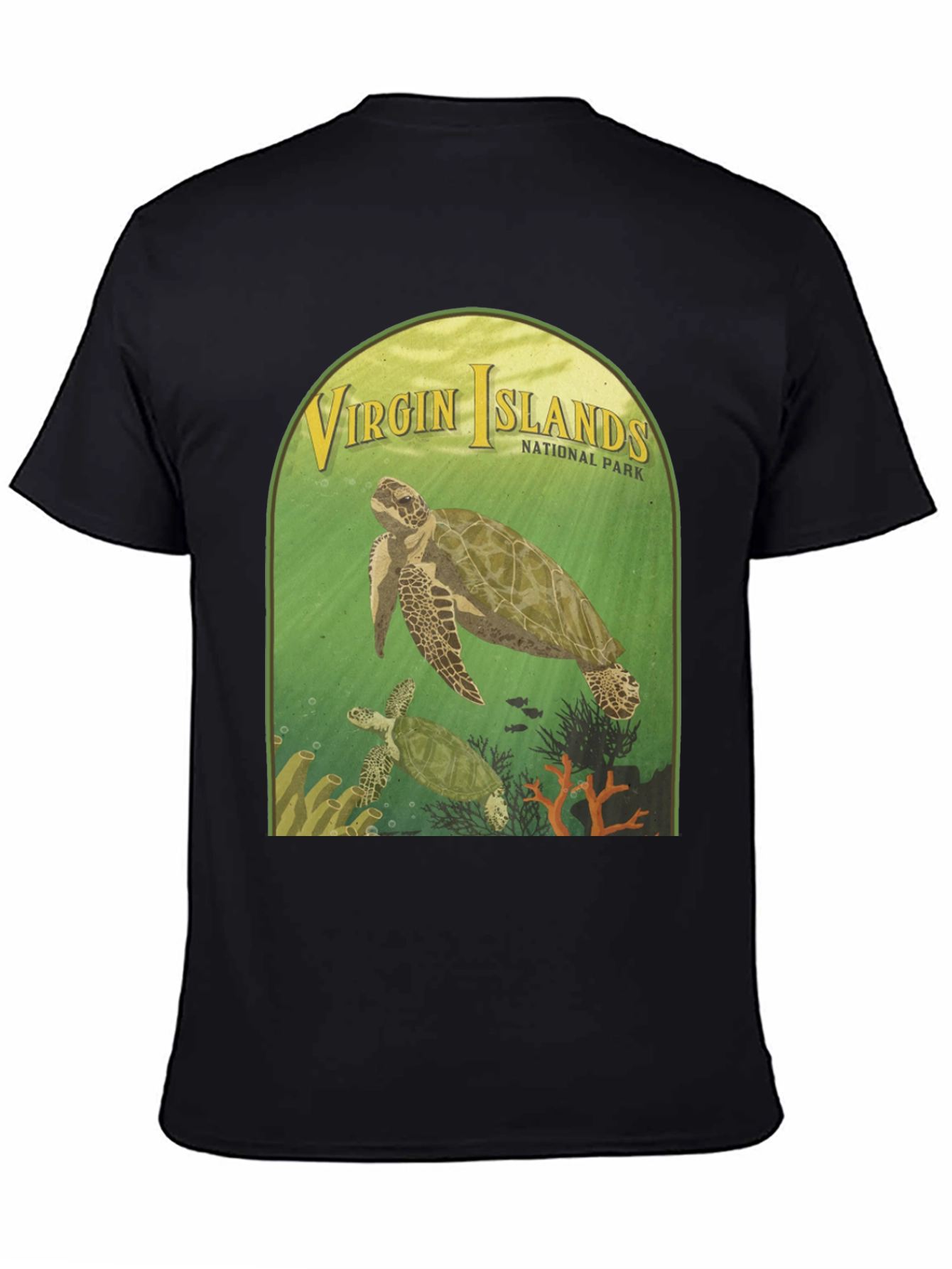 Virgin Islands National Park Turtle T-Shirt