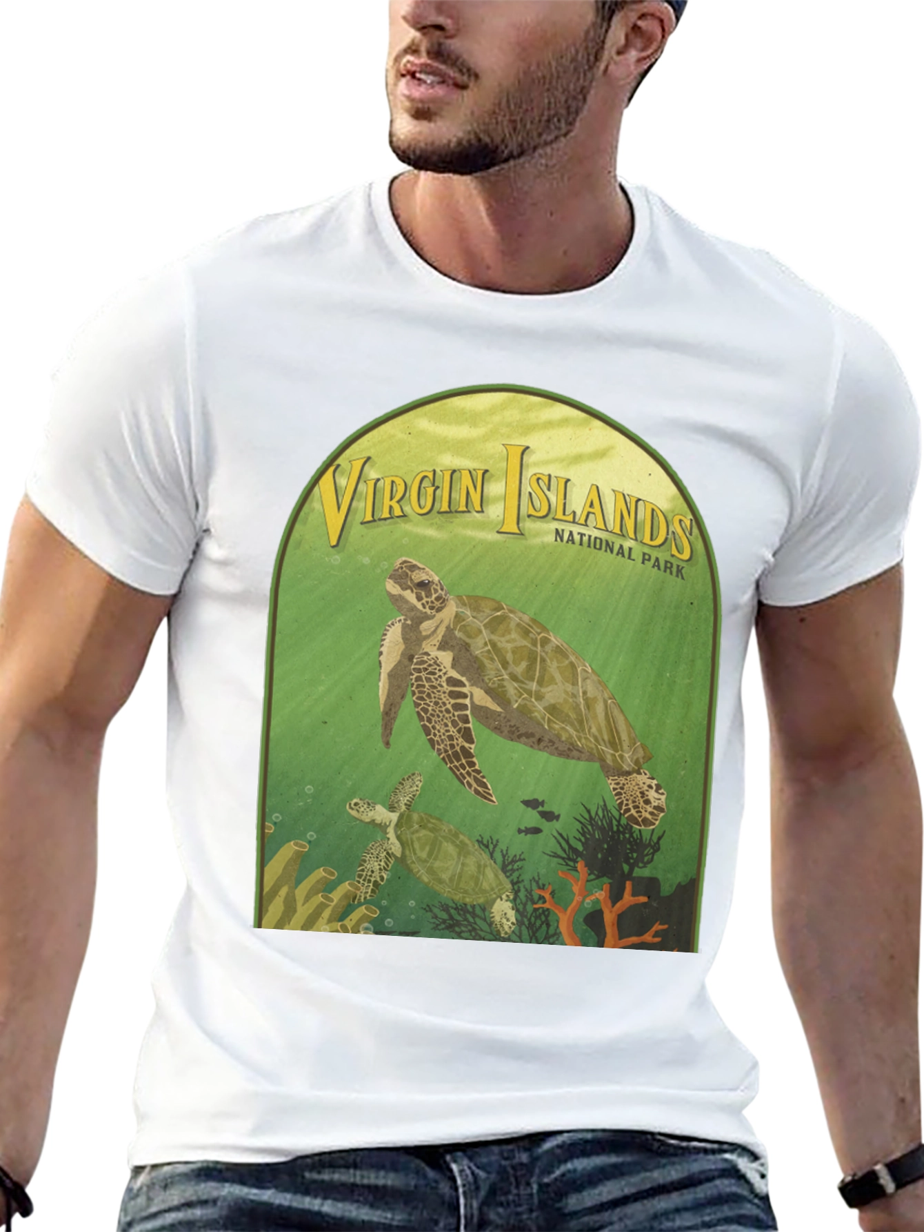 Virgin Islands National Park Turtle T-Shirt