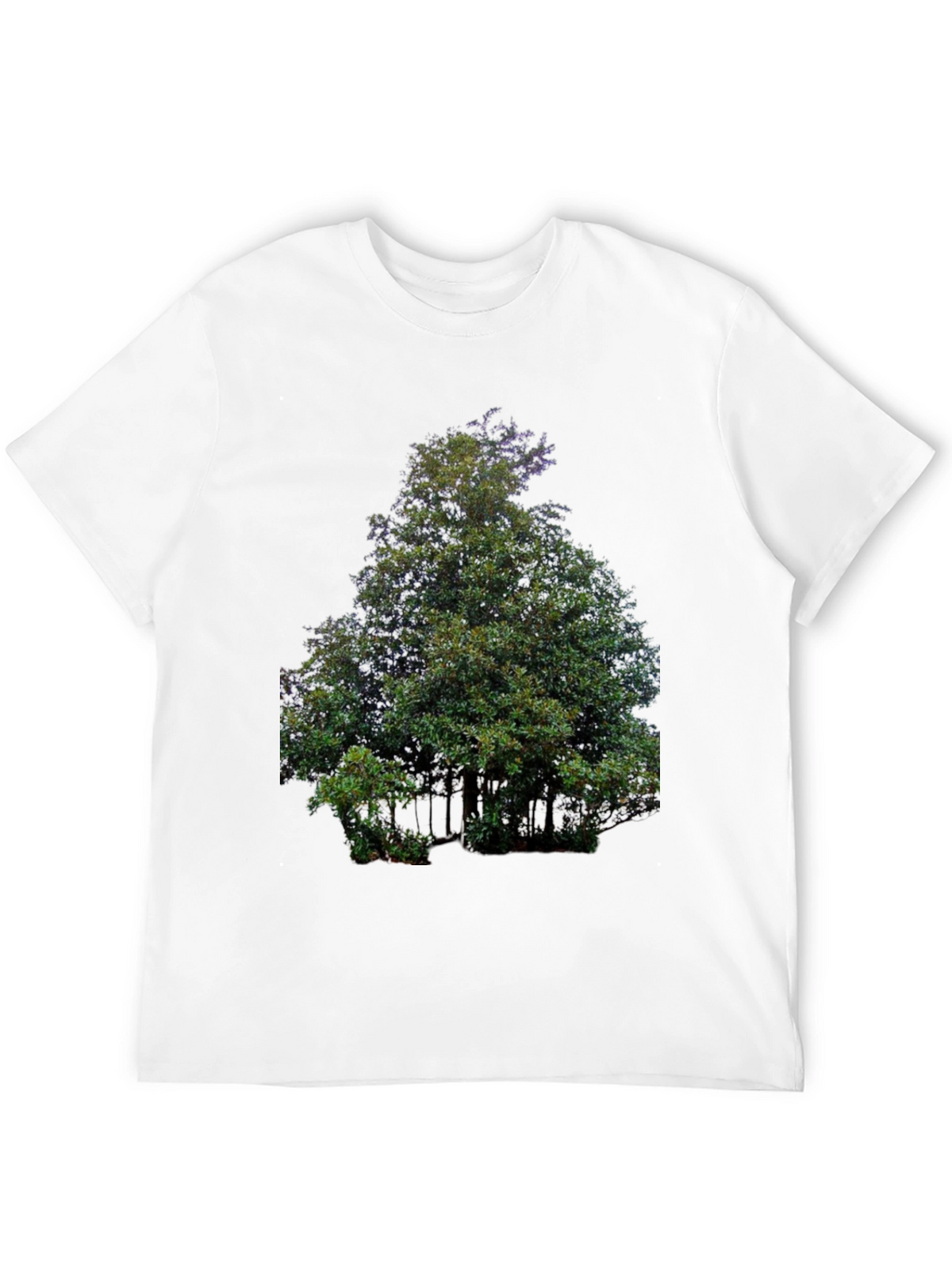 Nature Tree Graphic Print Black T-Shirt
