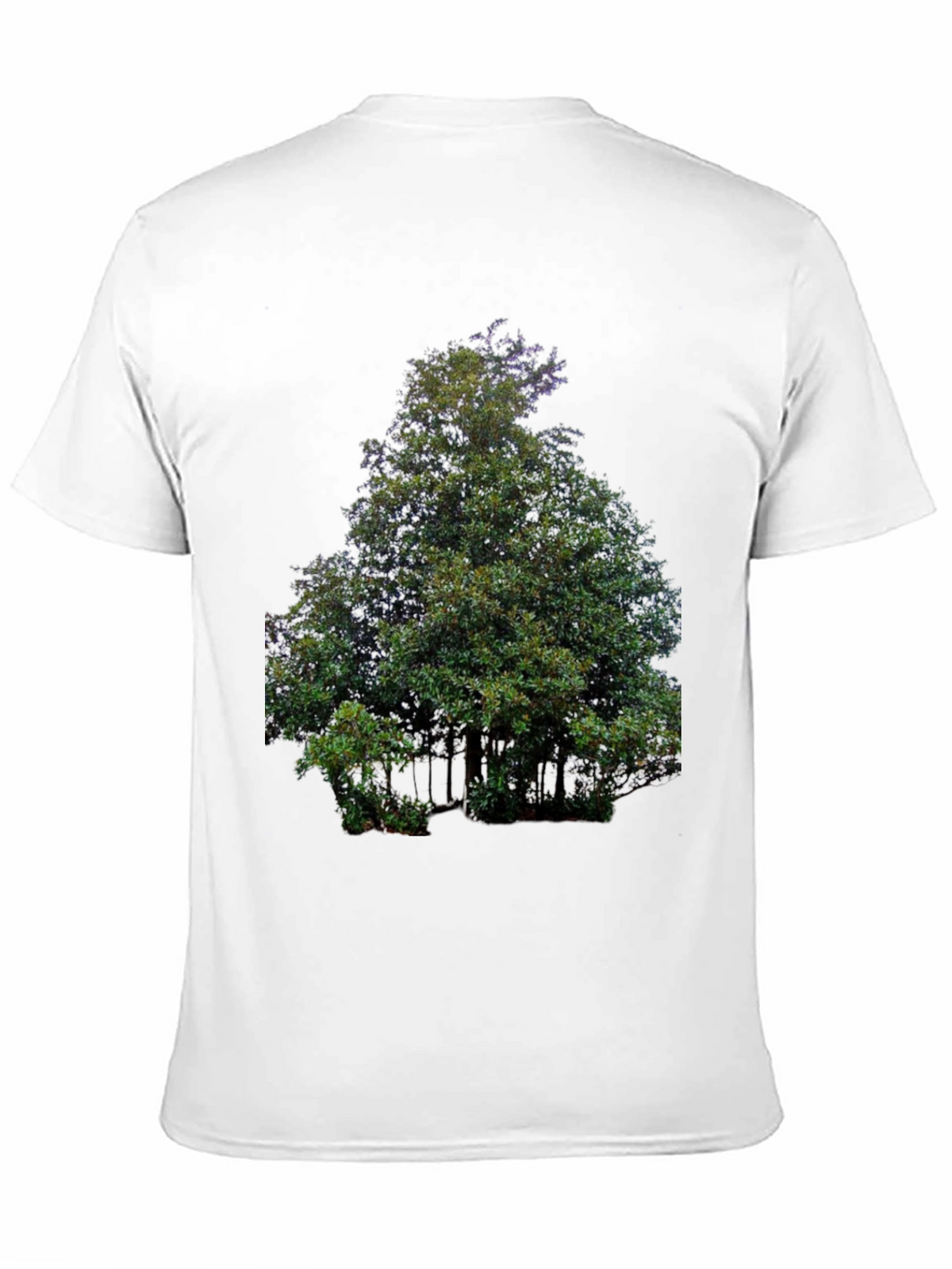 Nature Tree Graphic Print Black T-Shirt
