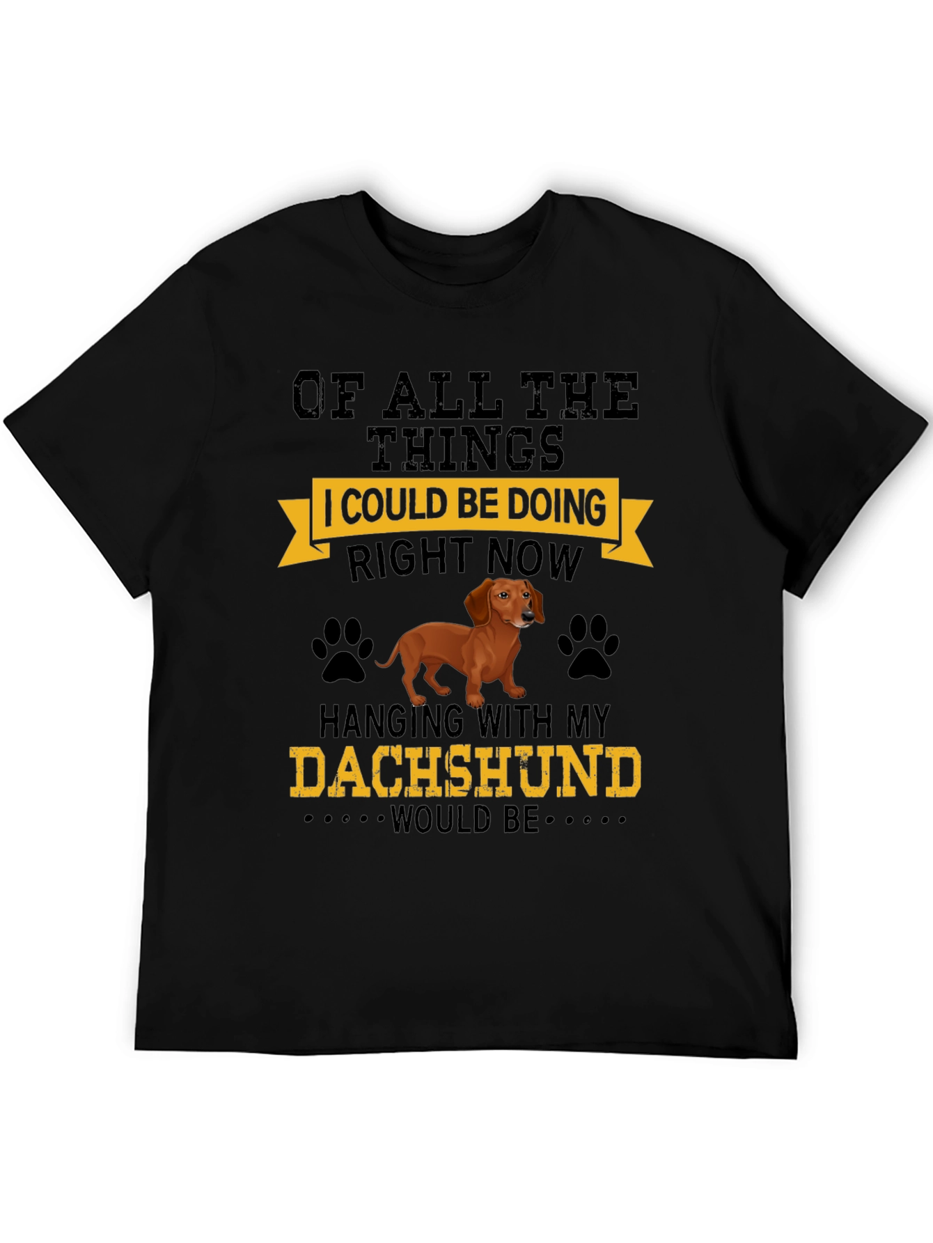 Dachshund Lover T-Shirt: Hanging with My Dog