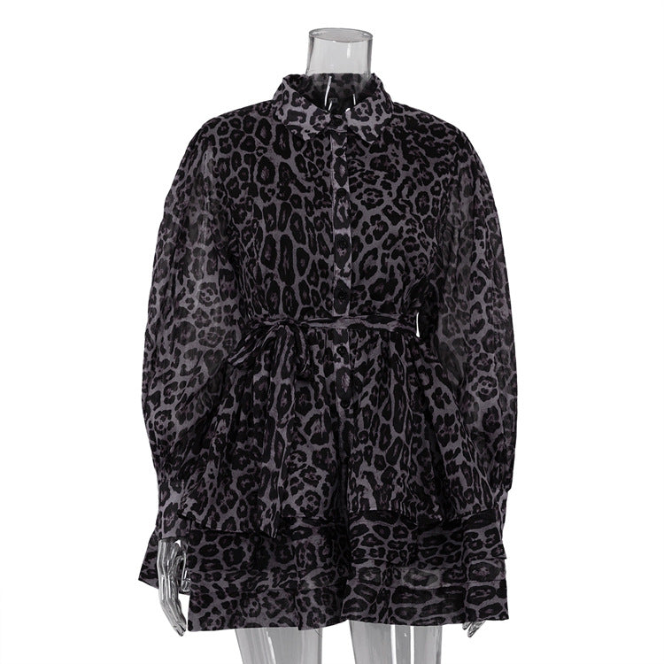 Women's Spring Leopard Chiffon Long Sleeve Dress