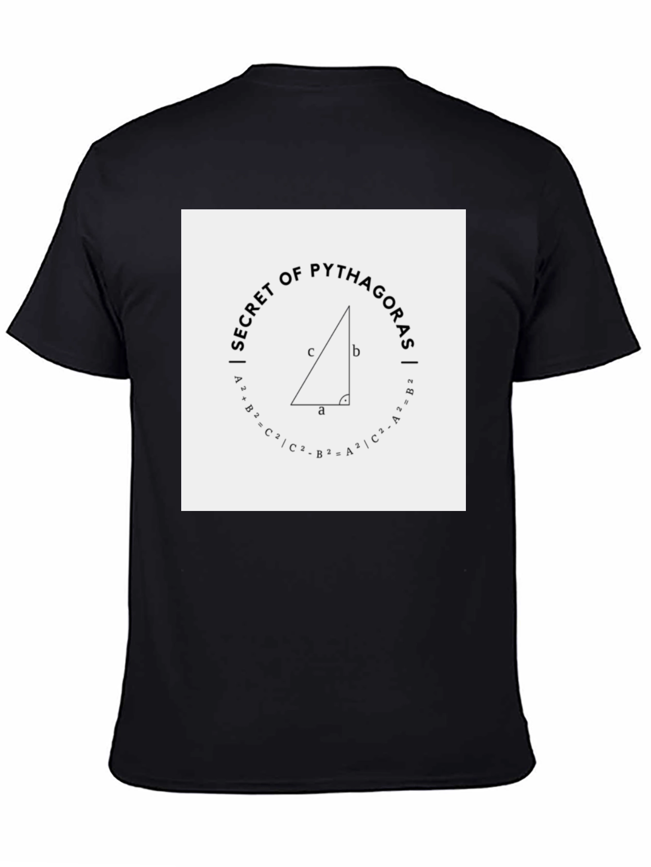 Secret of Pythagoras Black Tee Shirt