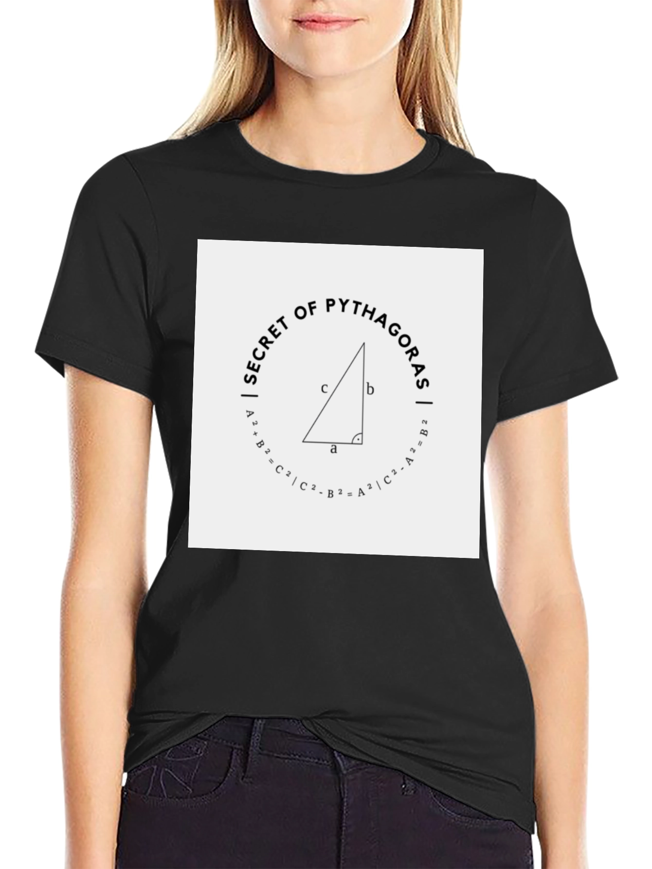 Secret of Pythagoras Black Tee Shirt