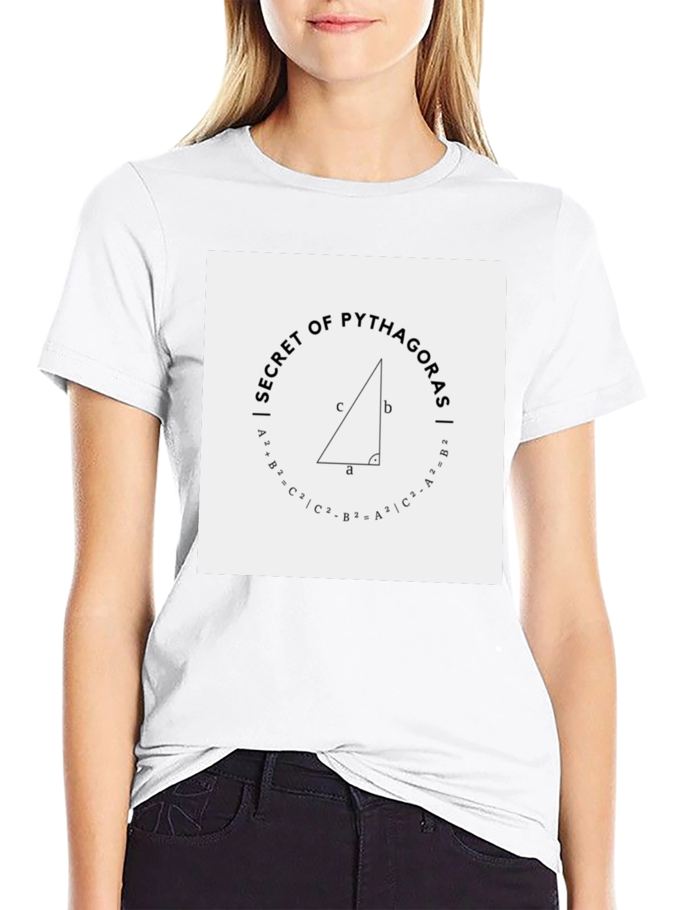 Secret of Pythagoras Black Tee Shirt