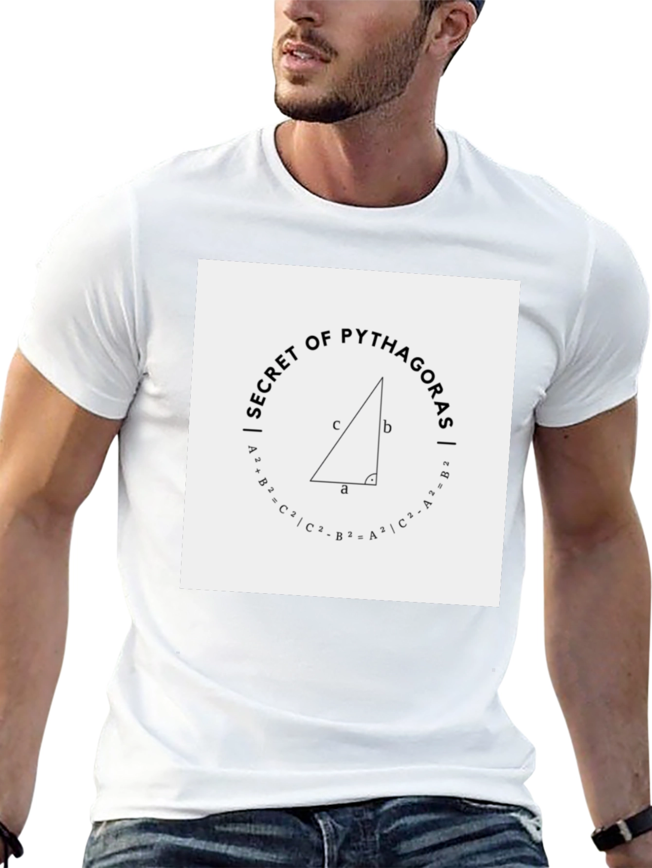 Secret of Pythagoras Black Tee Shirt