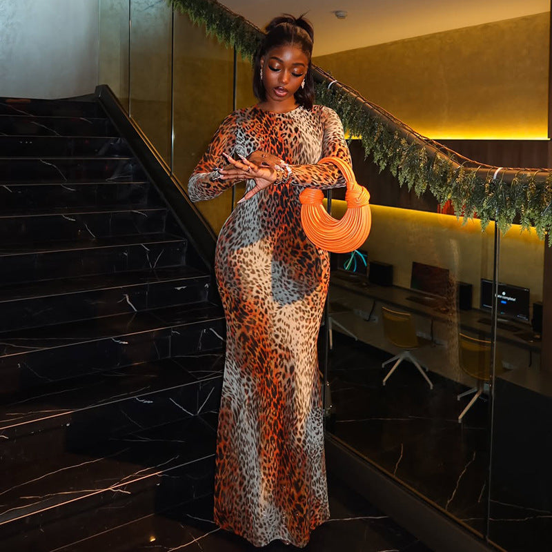 Women's Sexy Leopard Print Long Sleeve Maxi Dress
