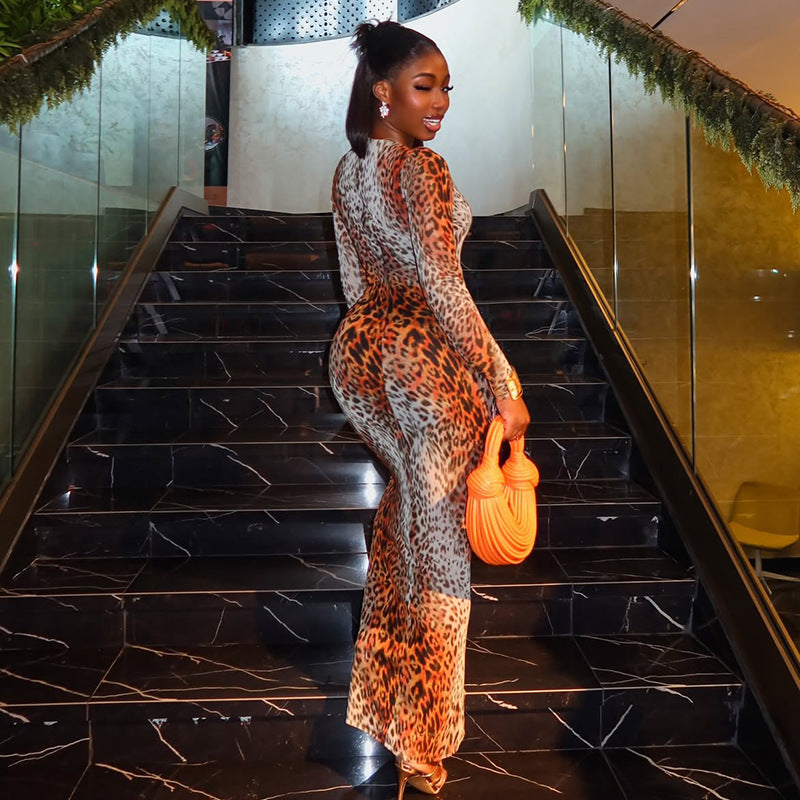 Women's Sexy Leopard Print Long Sleeve Maxi Dress