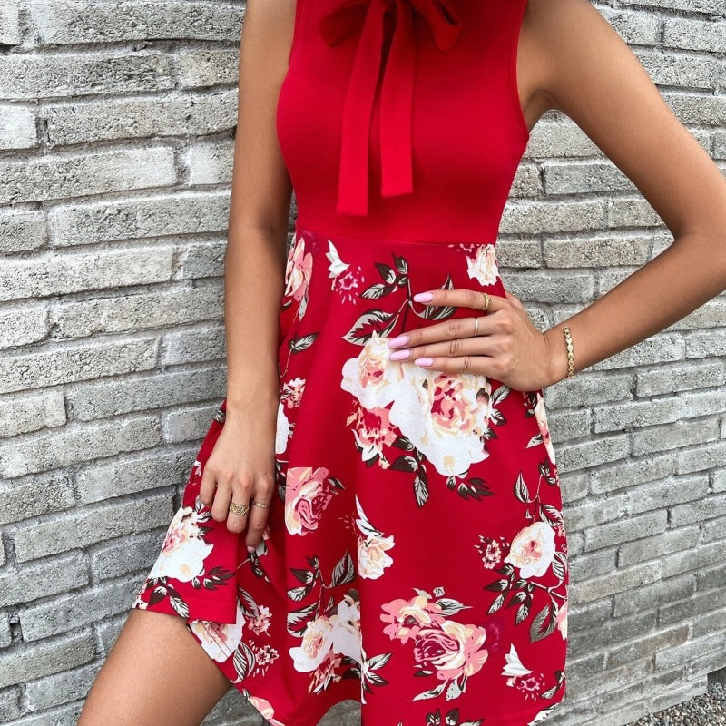 Women's Floral Print A-Line Dress, Ant Cloth