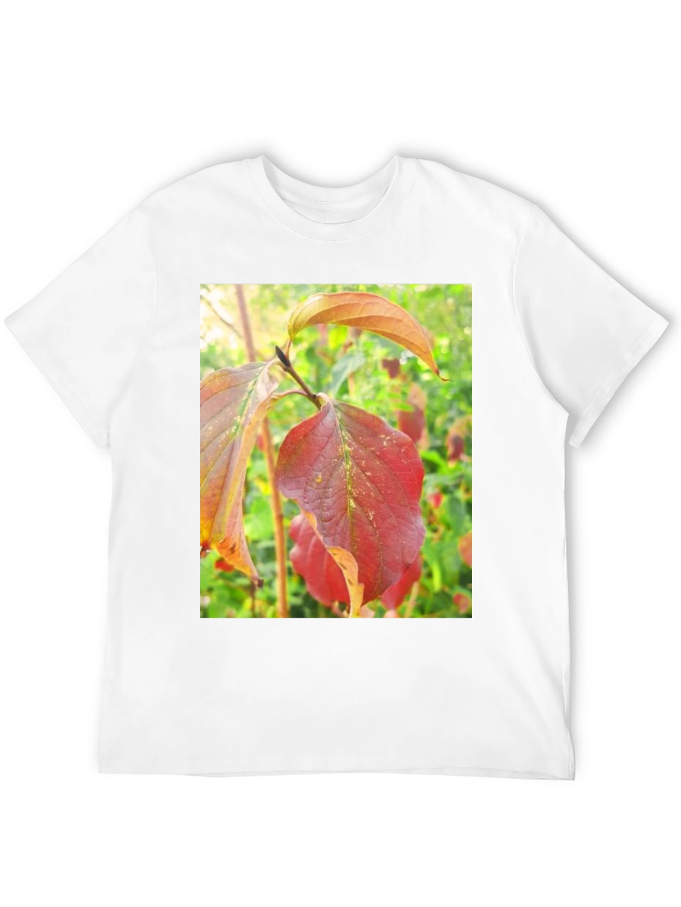 Autumn Leaves Graphic Tee - Nature Inspired Design