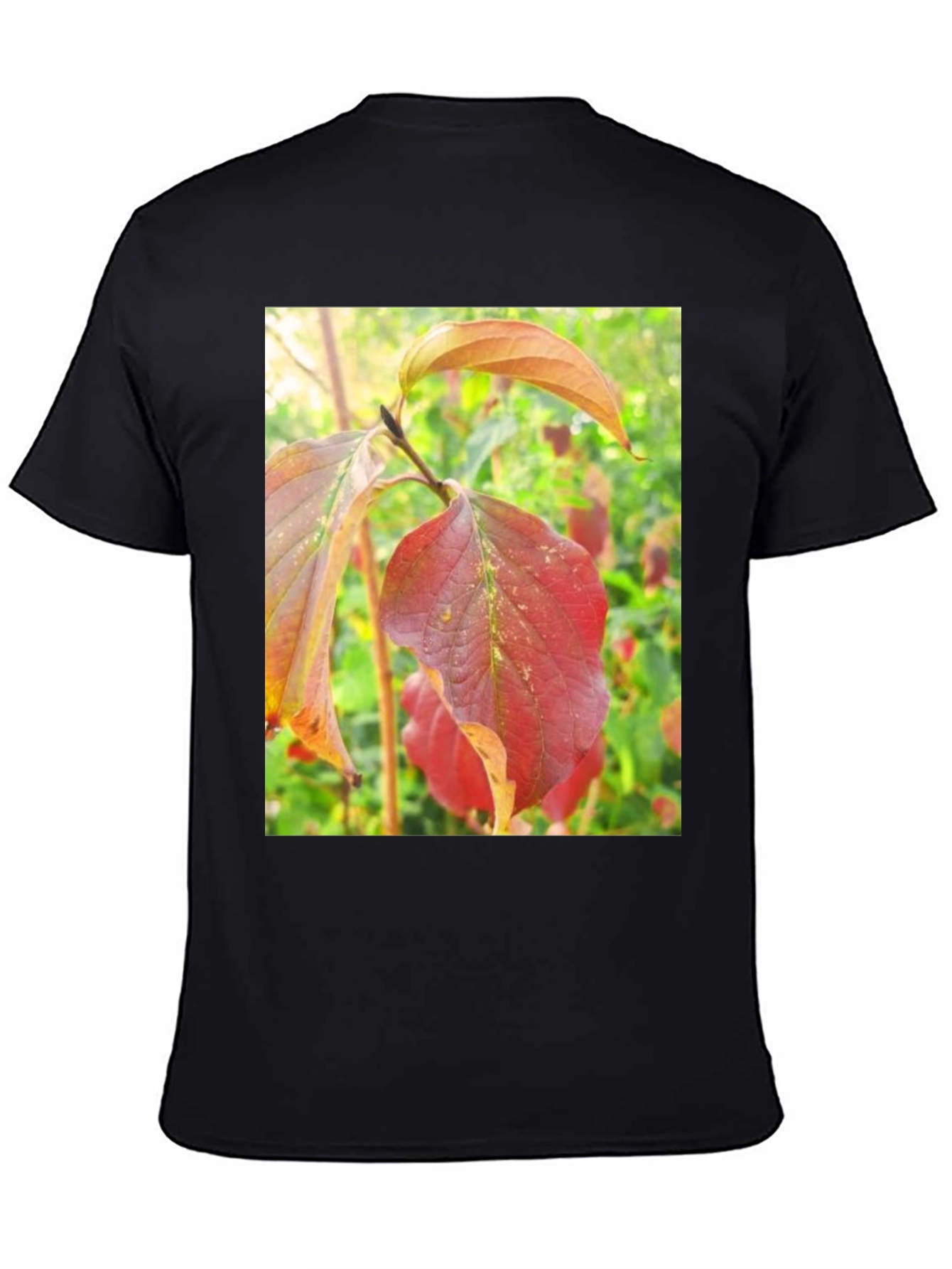 Autumn Leaves Graphic Tee - Nature Inspired Design