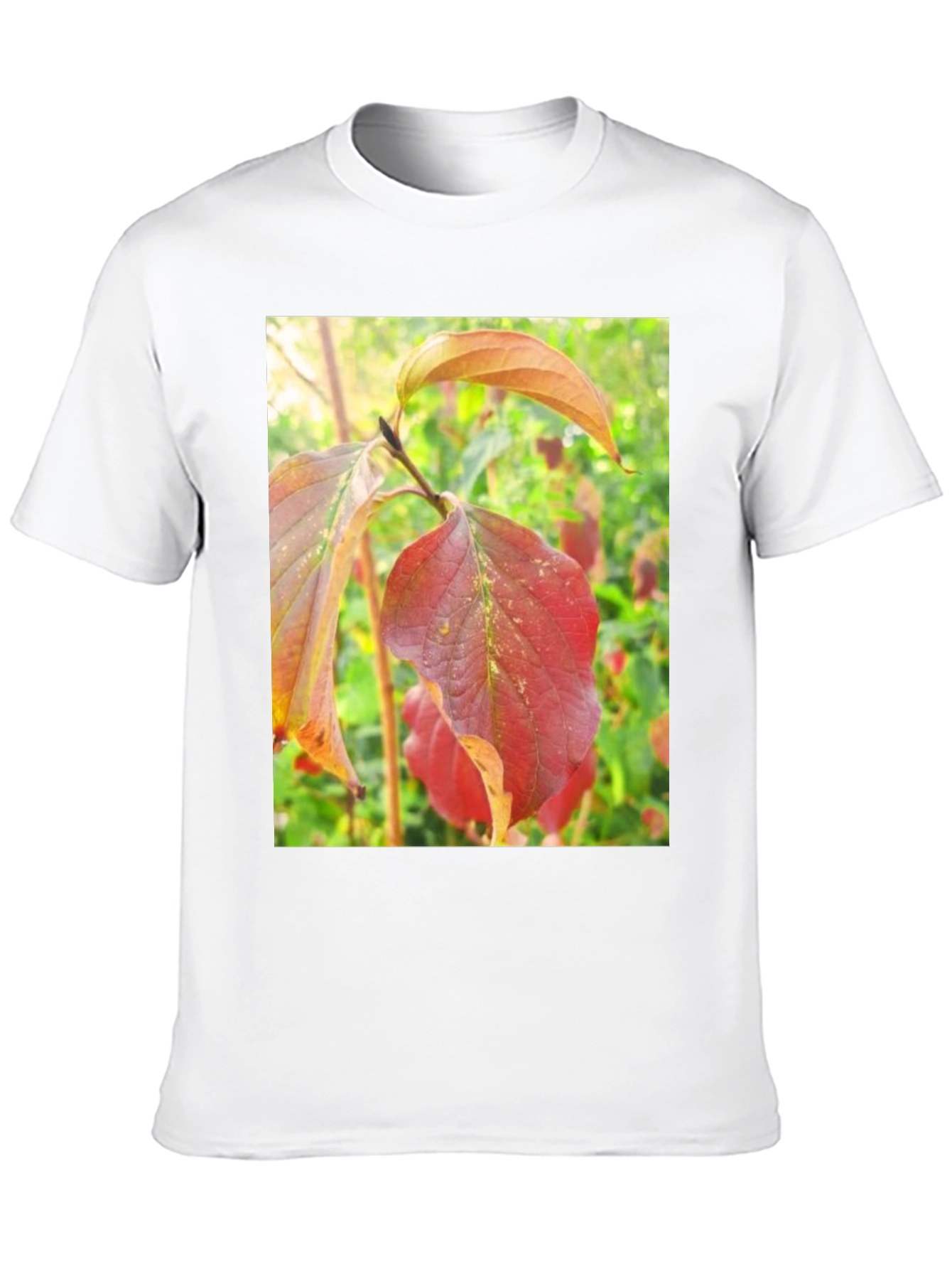 Autumn Leaves Graphic Tee - Nature Inspired Design