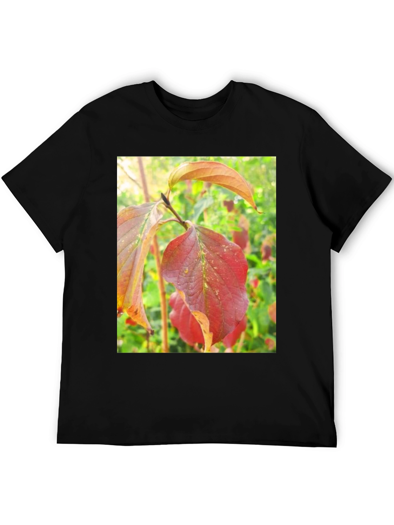 Autumn Leaves Graphic Tee - Nature Inspired Design