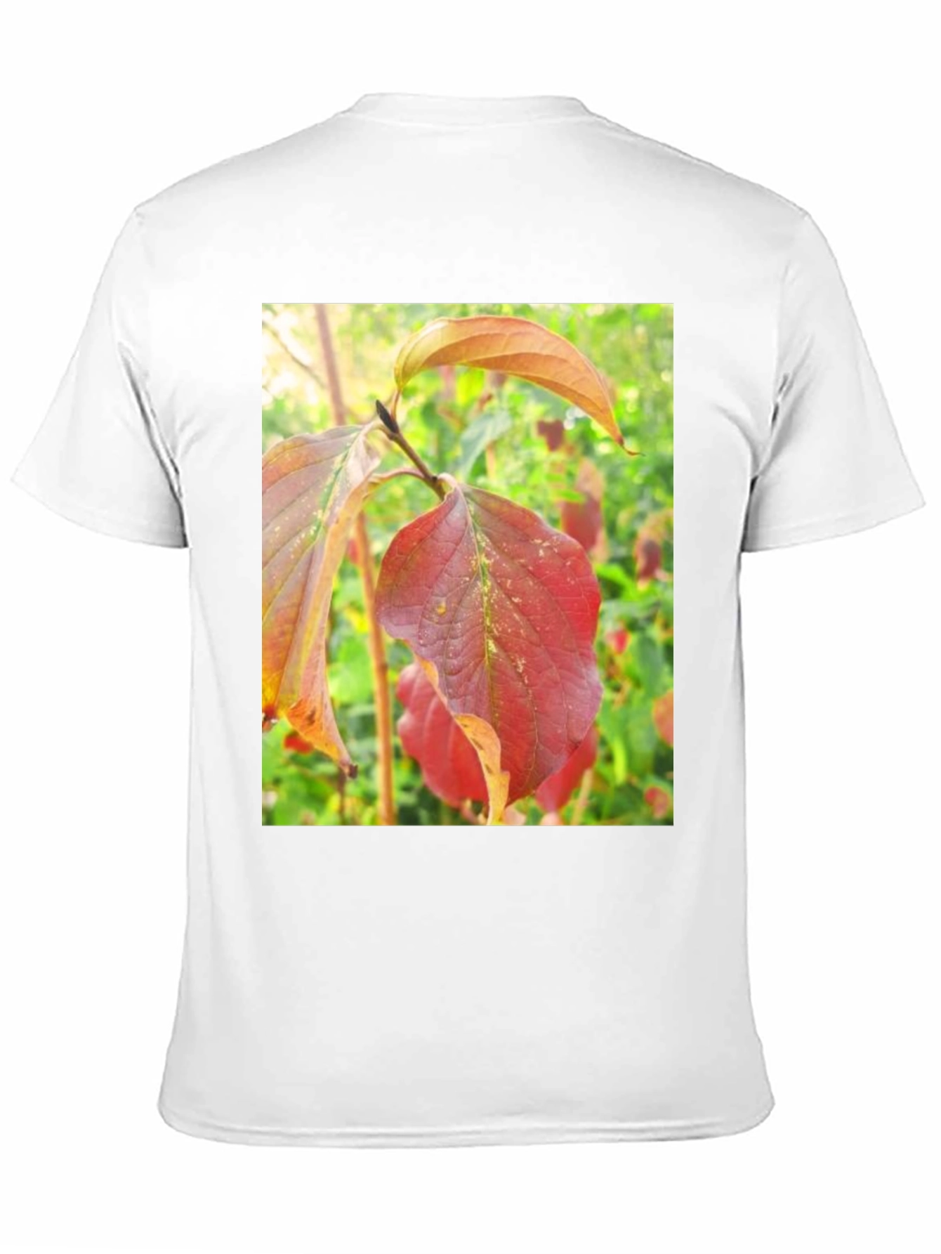 Autumn Leaves Graphic Tee - Nature Inspired Design