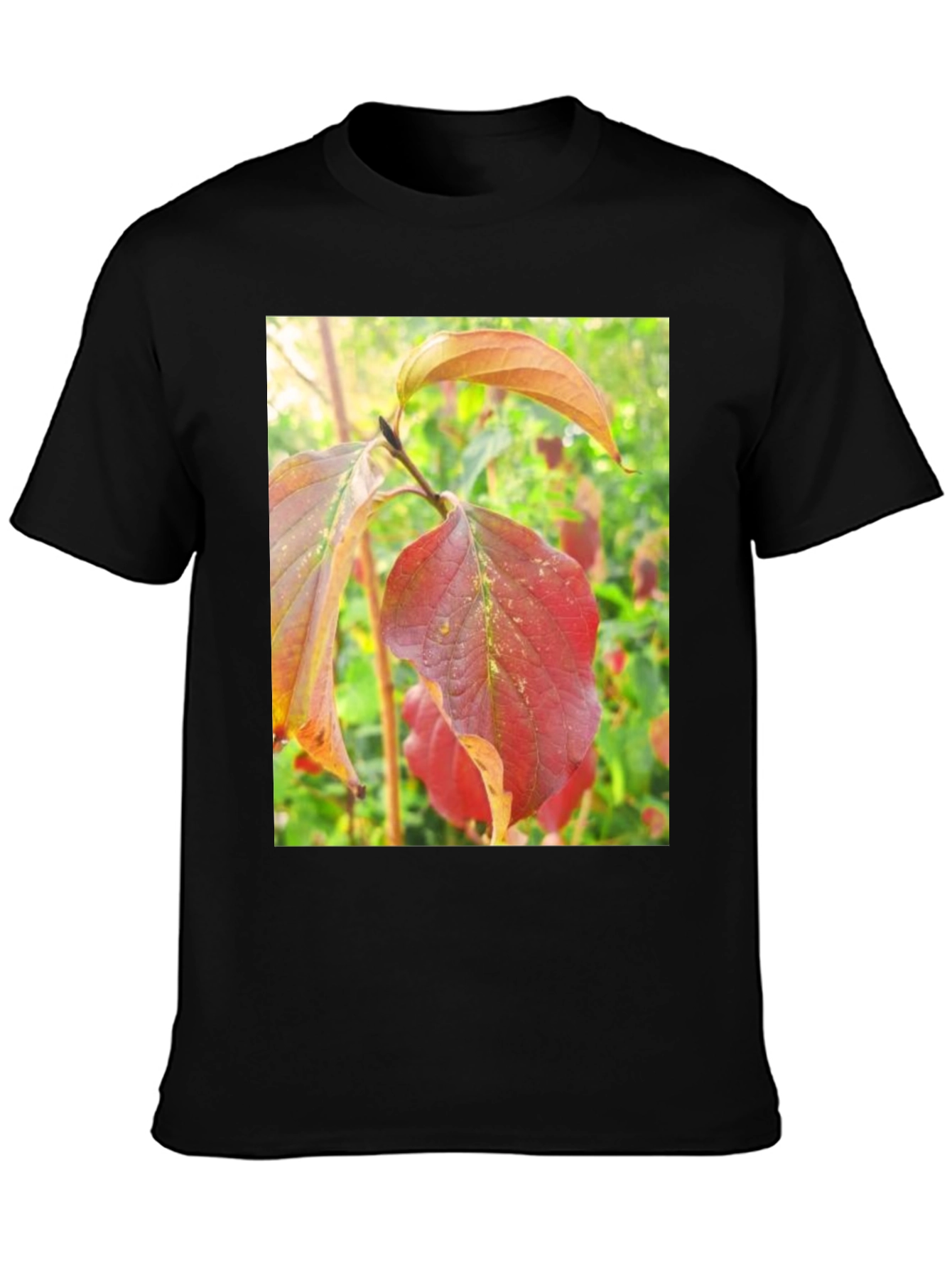 Autumn Leaves Graphic Tee - Nature Inspired Design