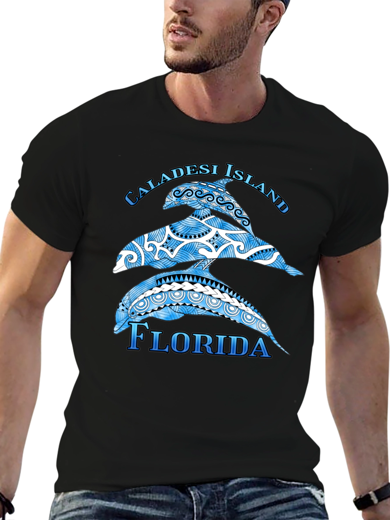 Caladesi Island Florida Dolphin Graphic T-Shirt