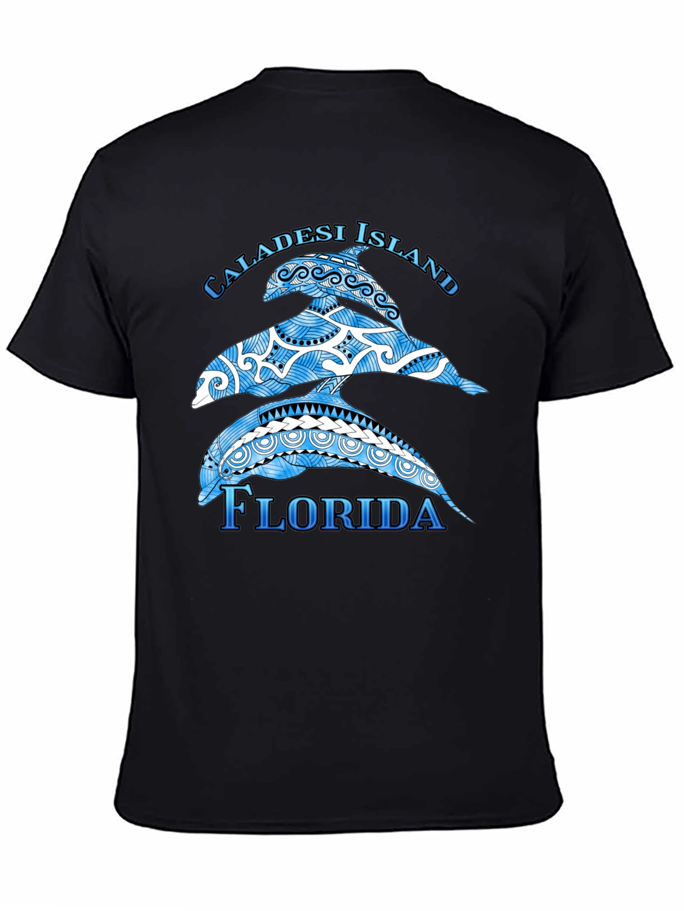 Caladesi Island Florida Dolphin Graphic T-Shirt