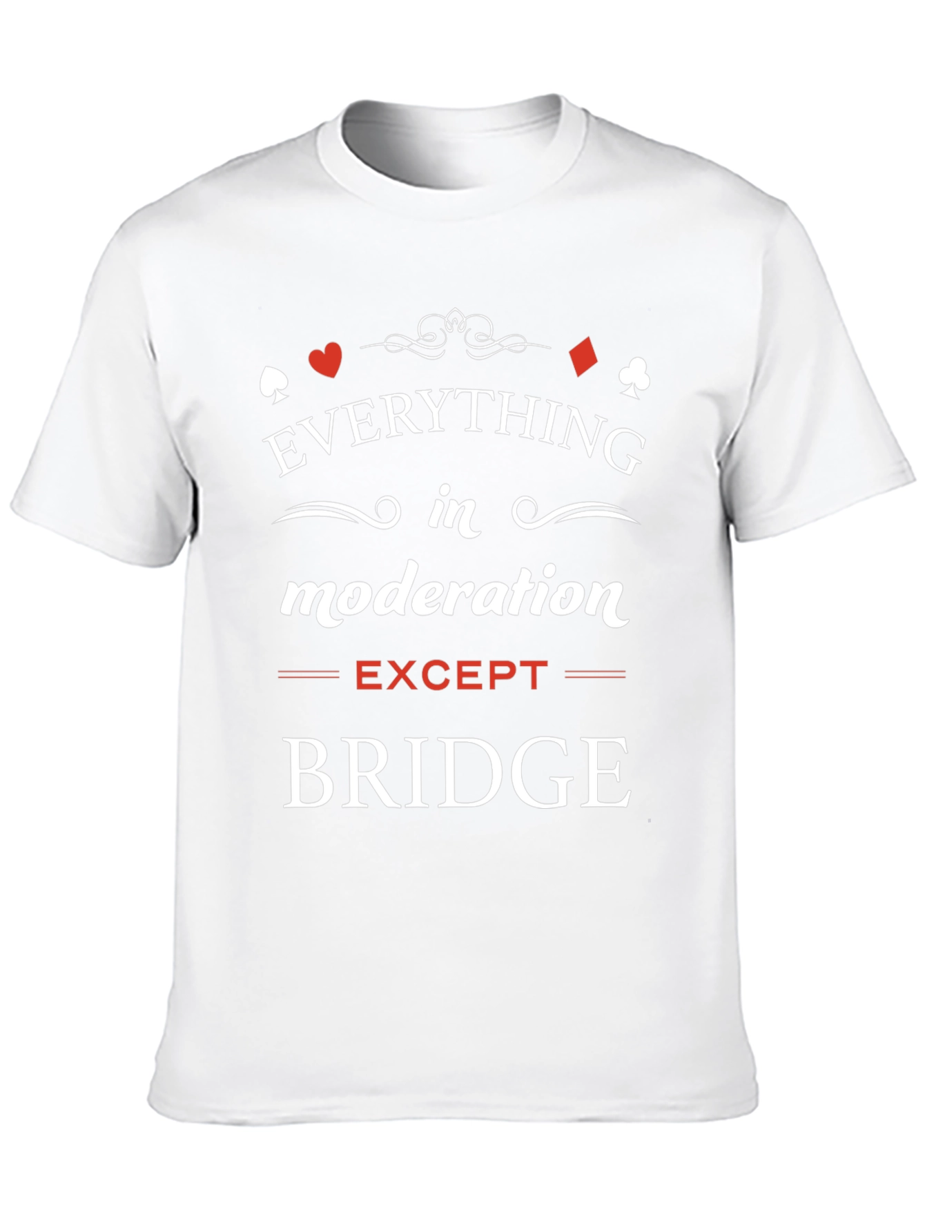 Everything in Moderation Except Bridge T-Shirt