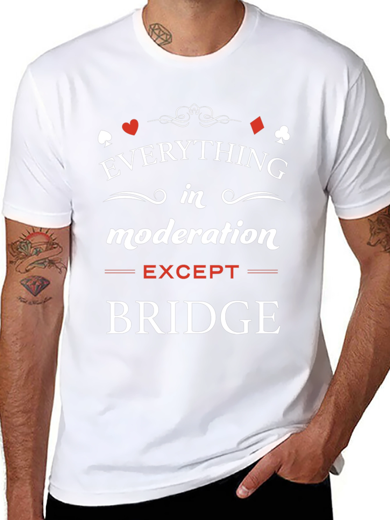 Everything in Moderation Except Bridge T-Shirt